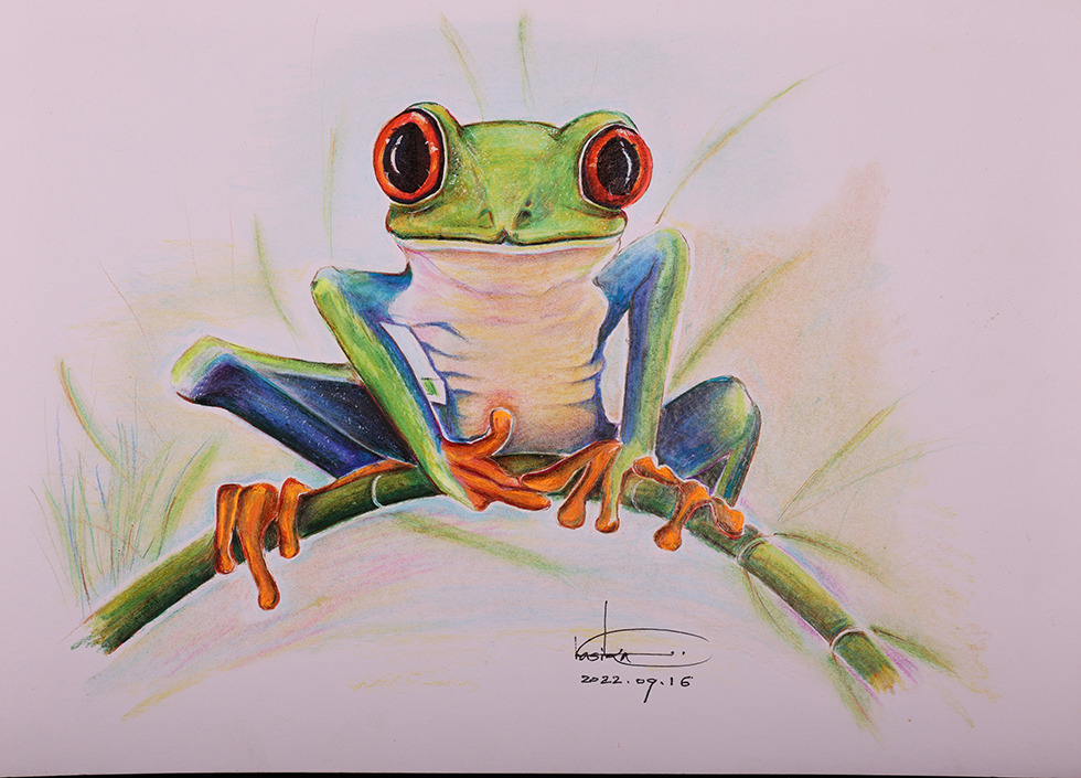 Frog 8386 small 5x7 jth2cr