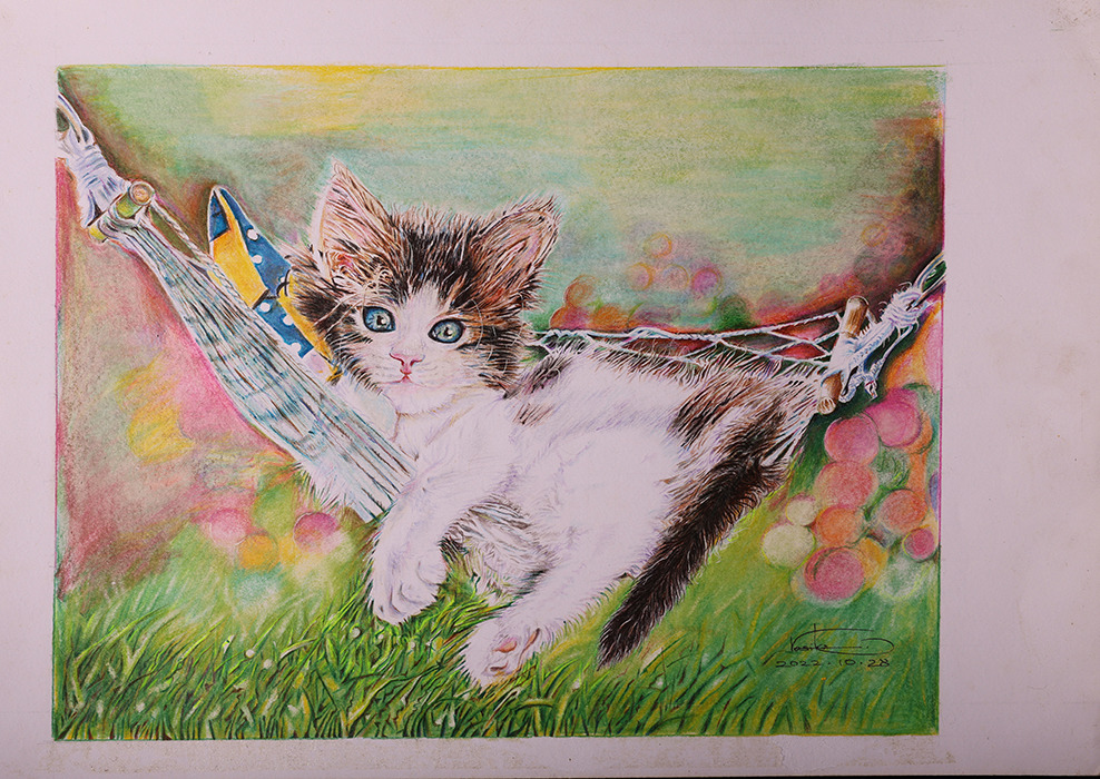 Kitty 8377 small 5x7 wv44tl