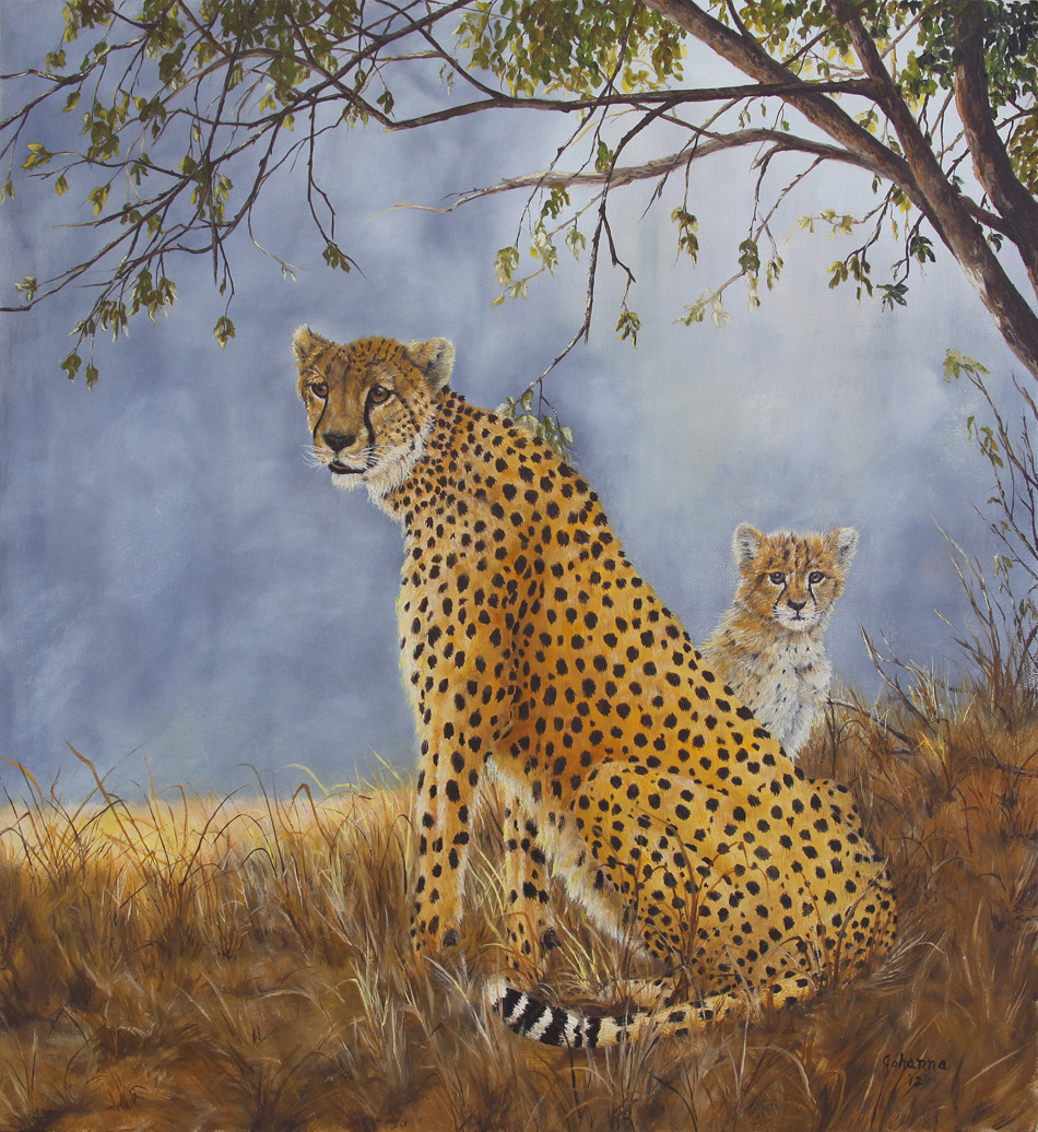 Cheetah with cub wzevfz