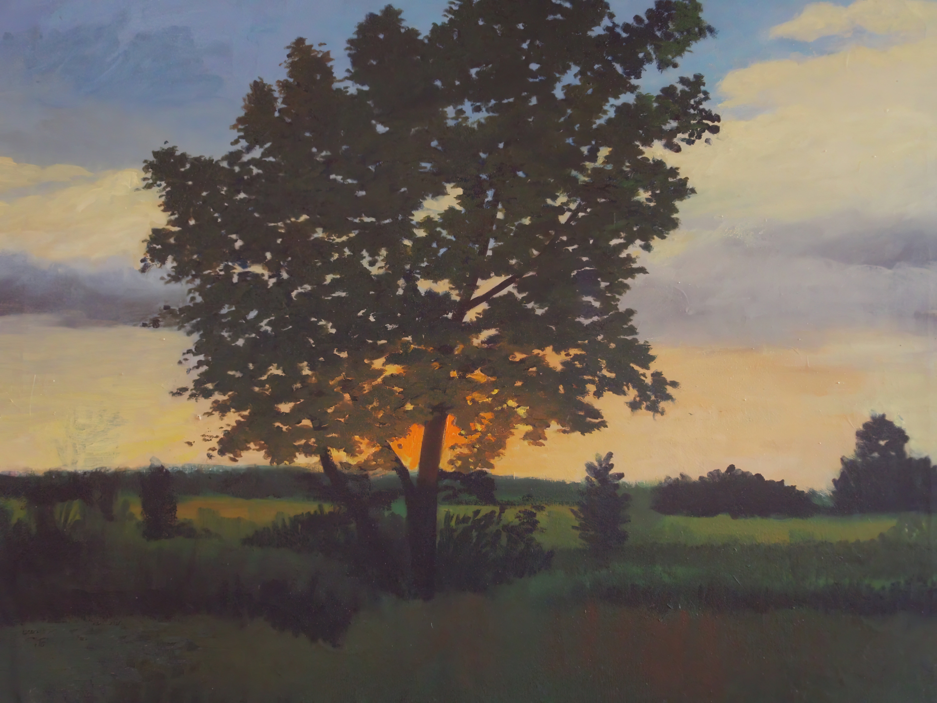 166 tree in the sunset  600 27x32 gigapixel art scale 2 00x h1xbve