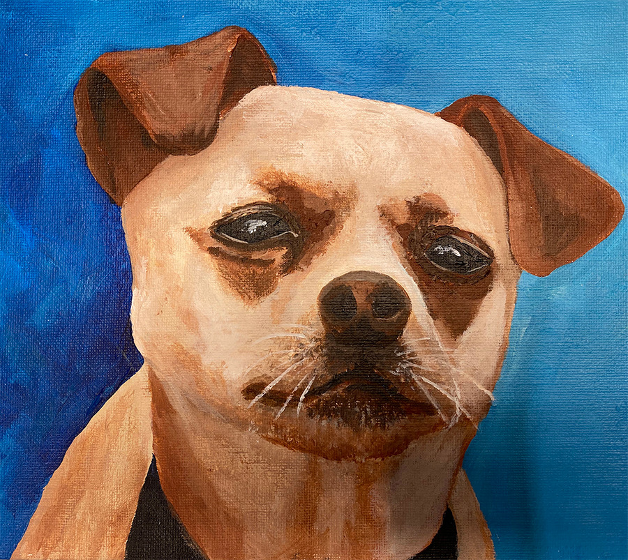 
        <div class='title'>
          Gracie
        </div>
       