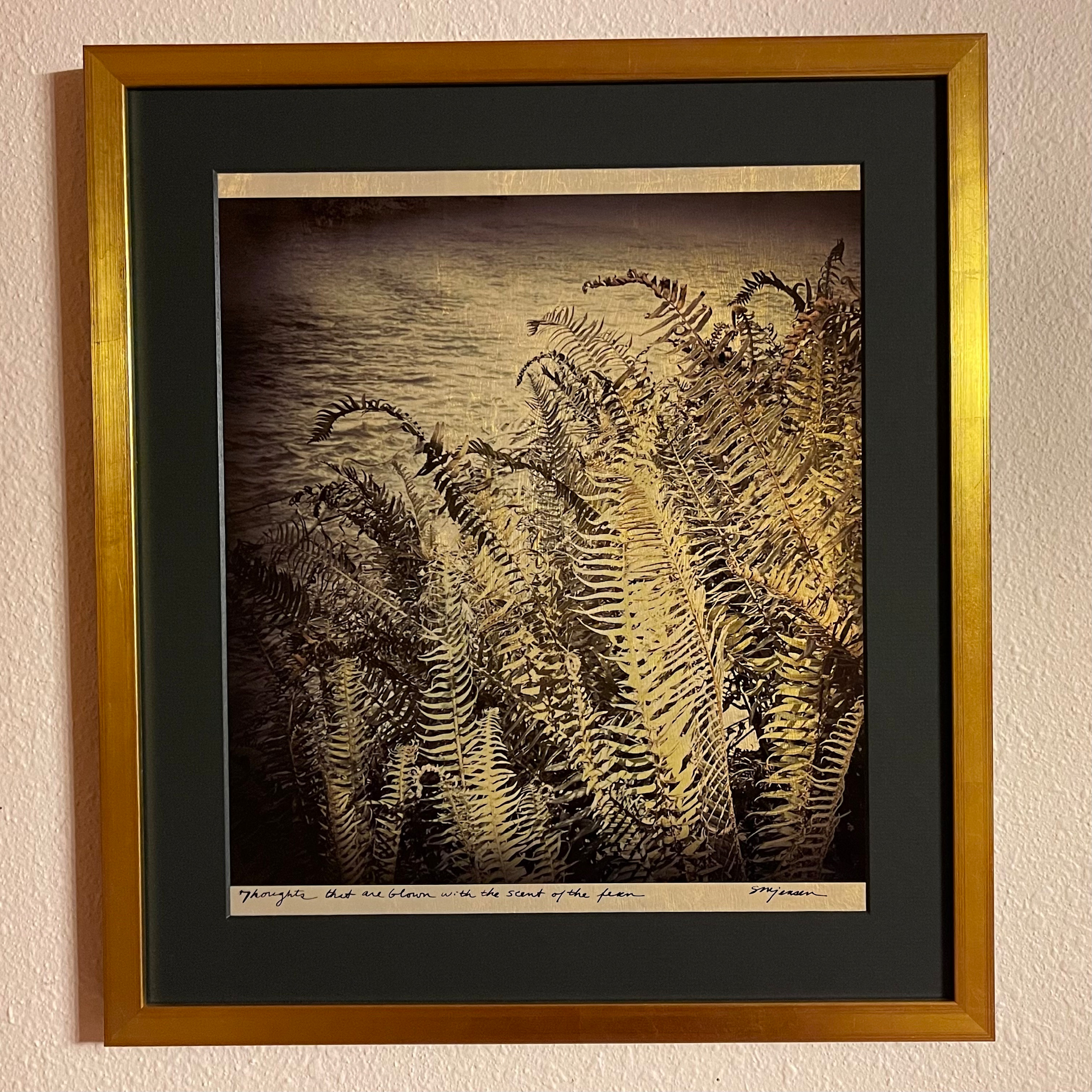 Scent of the fern framed zs0vwv