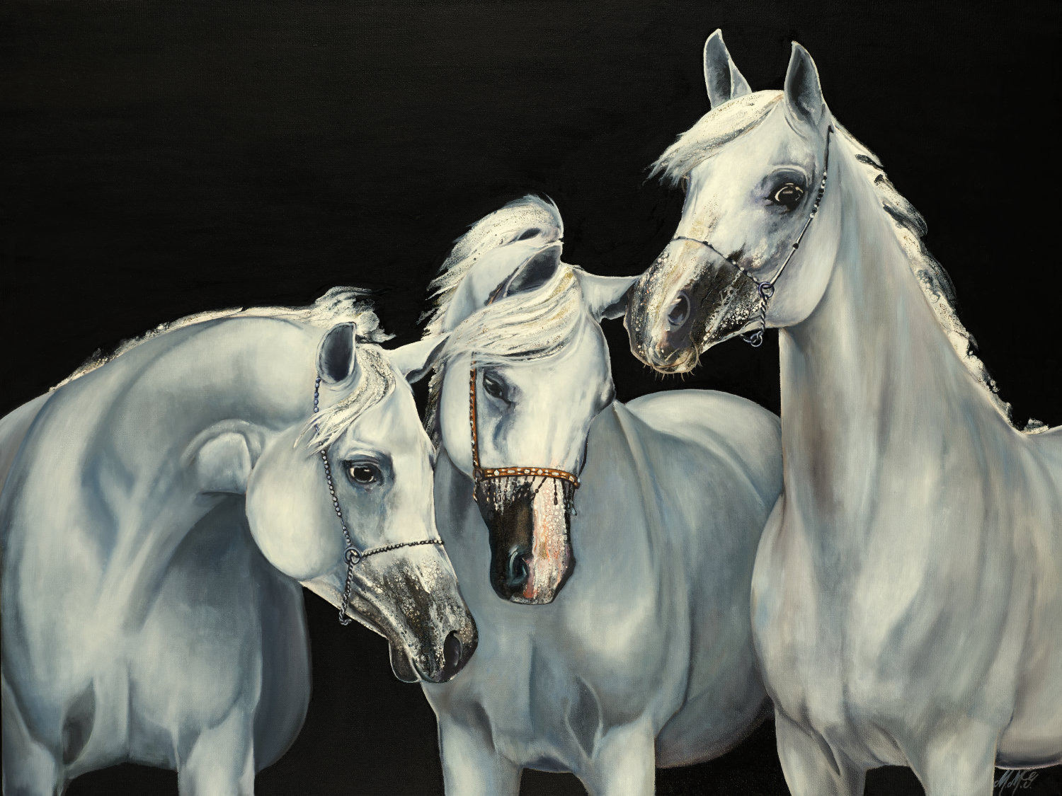 3 wise guys web vjgwjl