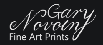 gary novotny
