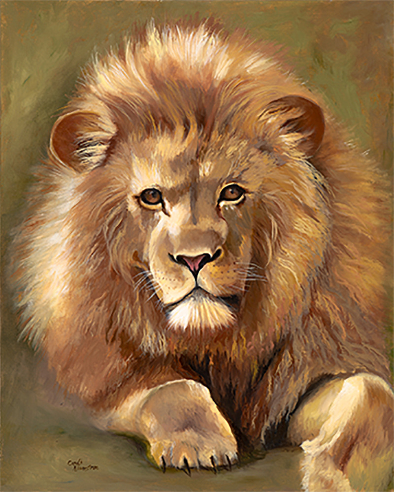 Lion of judah p7jddx