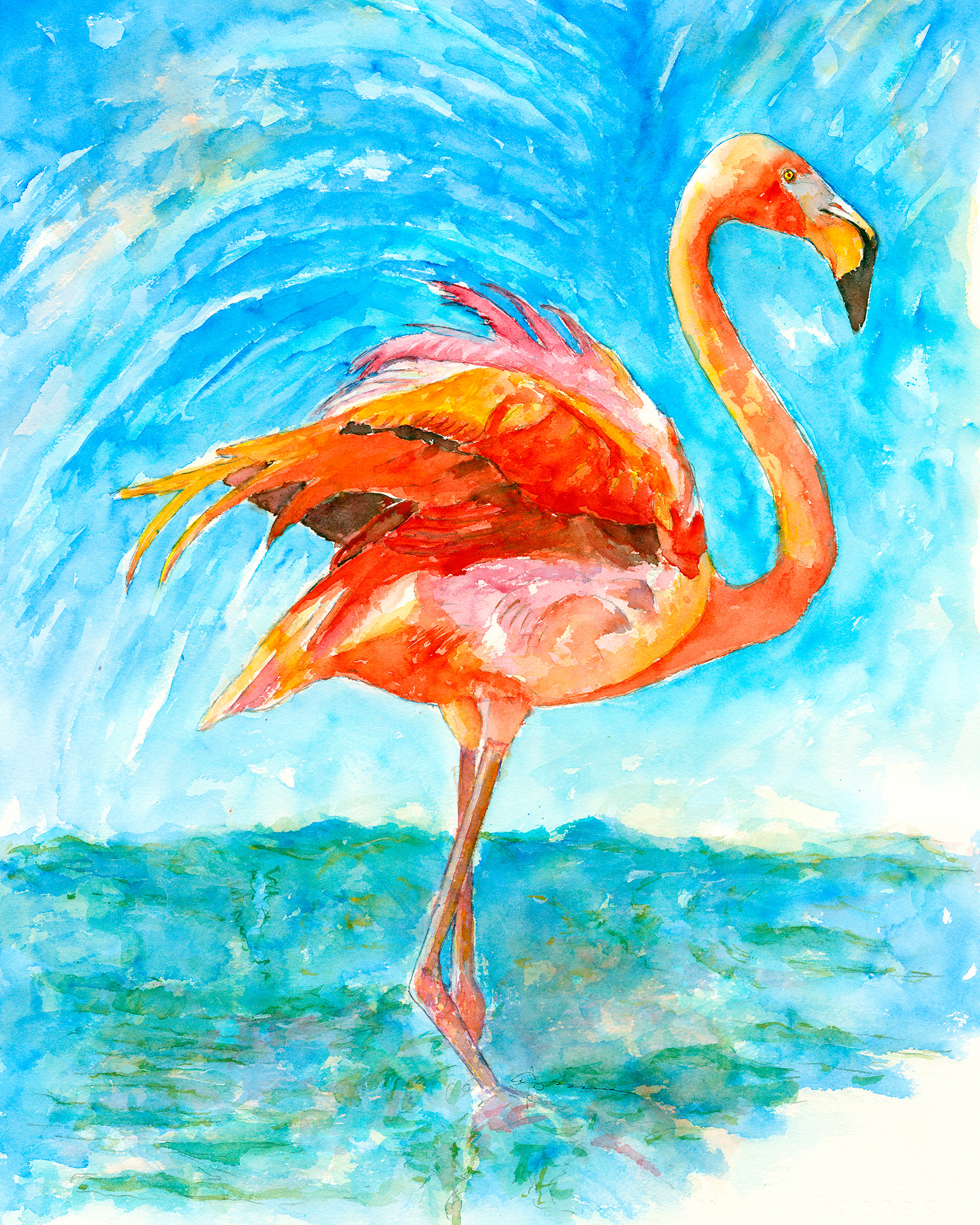 Flamingo wading xrdqqx