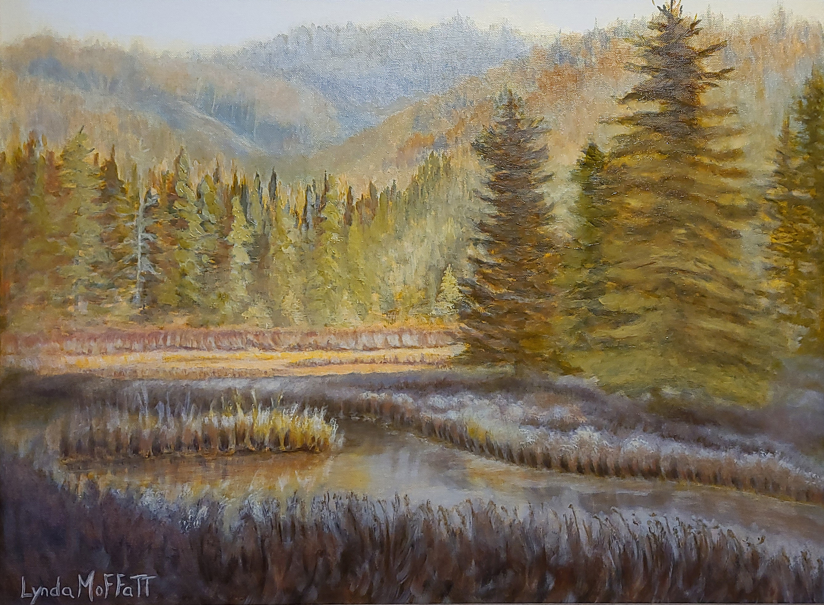 Morning mist in algonquin  original framecroppedoff ugasy7