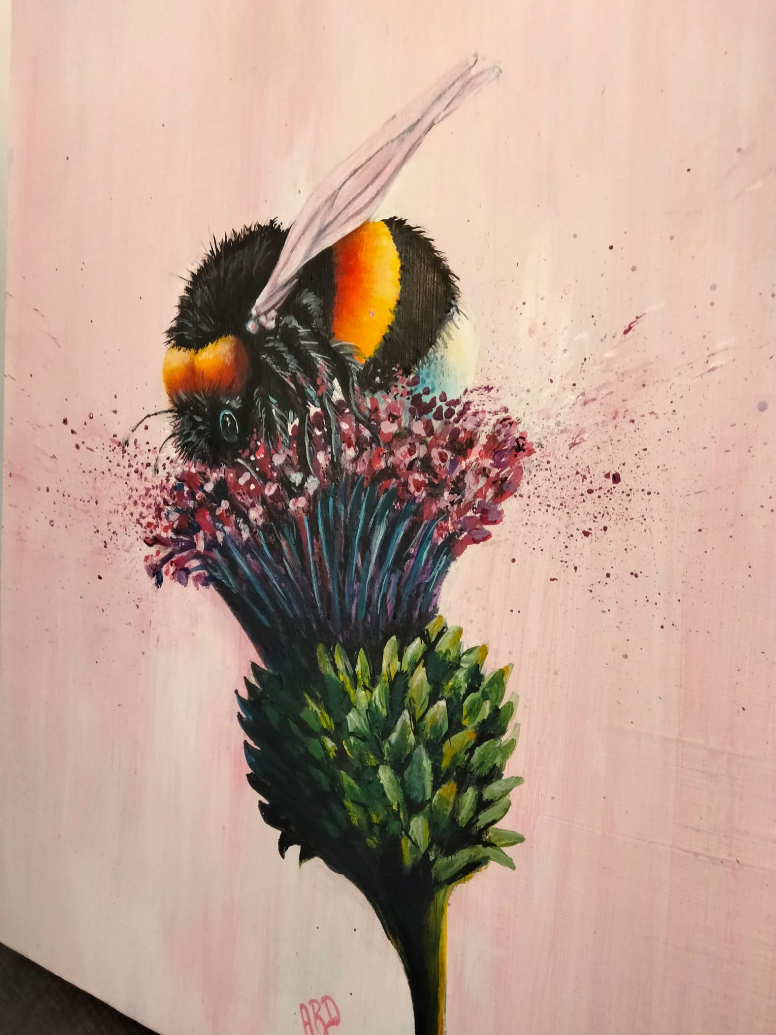 Highland honey download from wa ad 0090 o vvrh3s