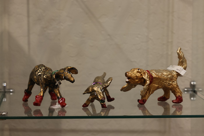 3 dogs playing xxx small 5x7 low res sf 4629 s j8jnvr