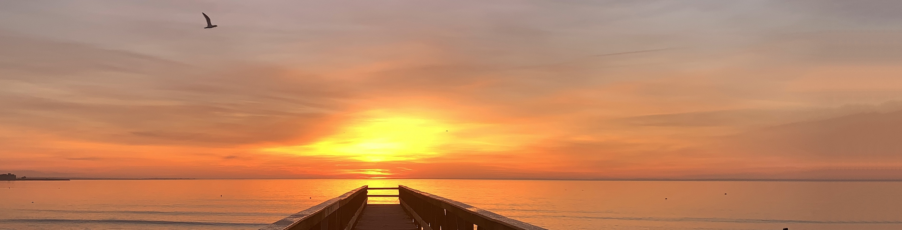 
        <div class='title'>
          A New Day New Begining sunrise vnuvbp
        </div>
       