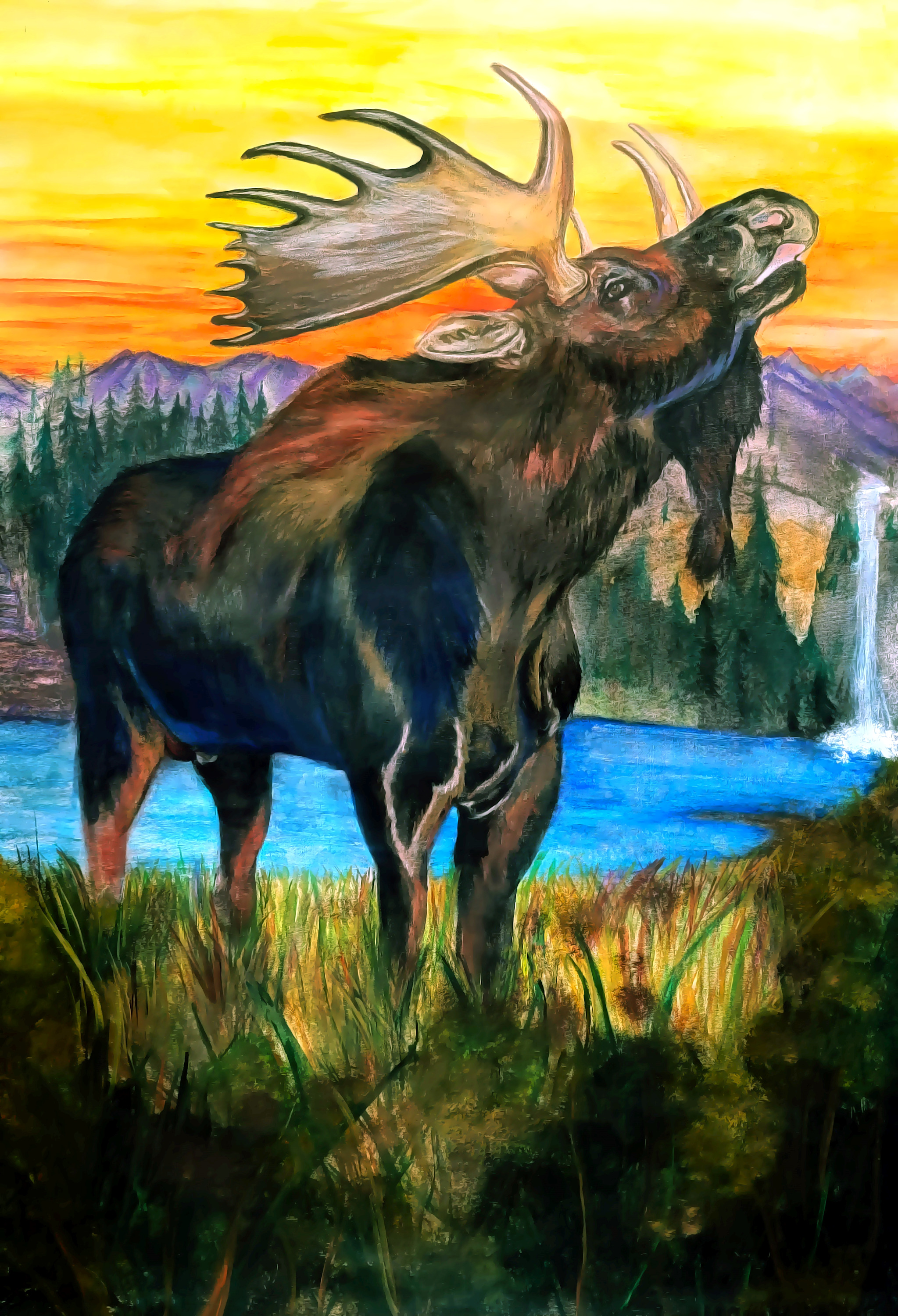 
        <div class='title'>
          HOWLING MOOSE BANNER
        </div>
       
        <div class='description'>
          
        </div>
      
