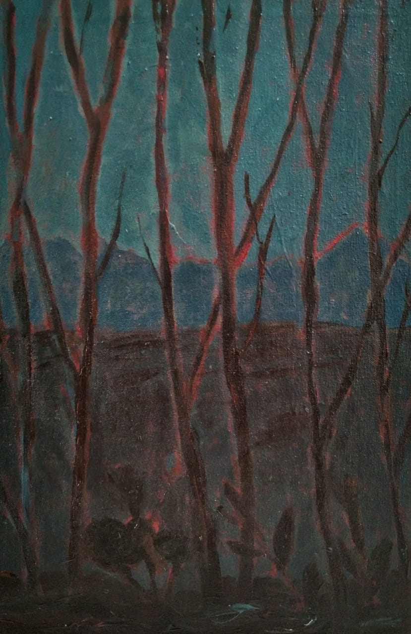 Winter forest w mts pk 0202 o u75xix