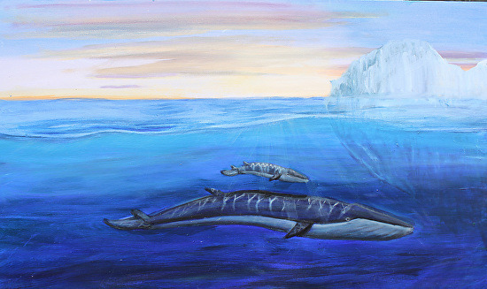 Prudence and finn soe k2 right 15 60x48 5000 krbvix