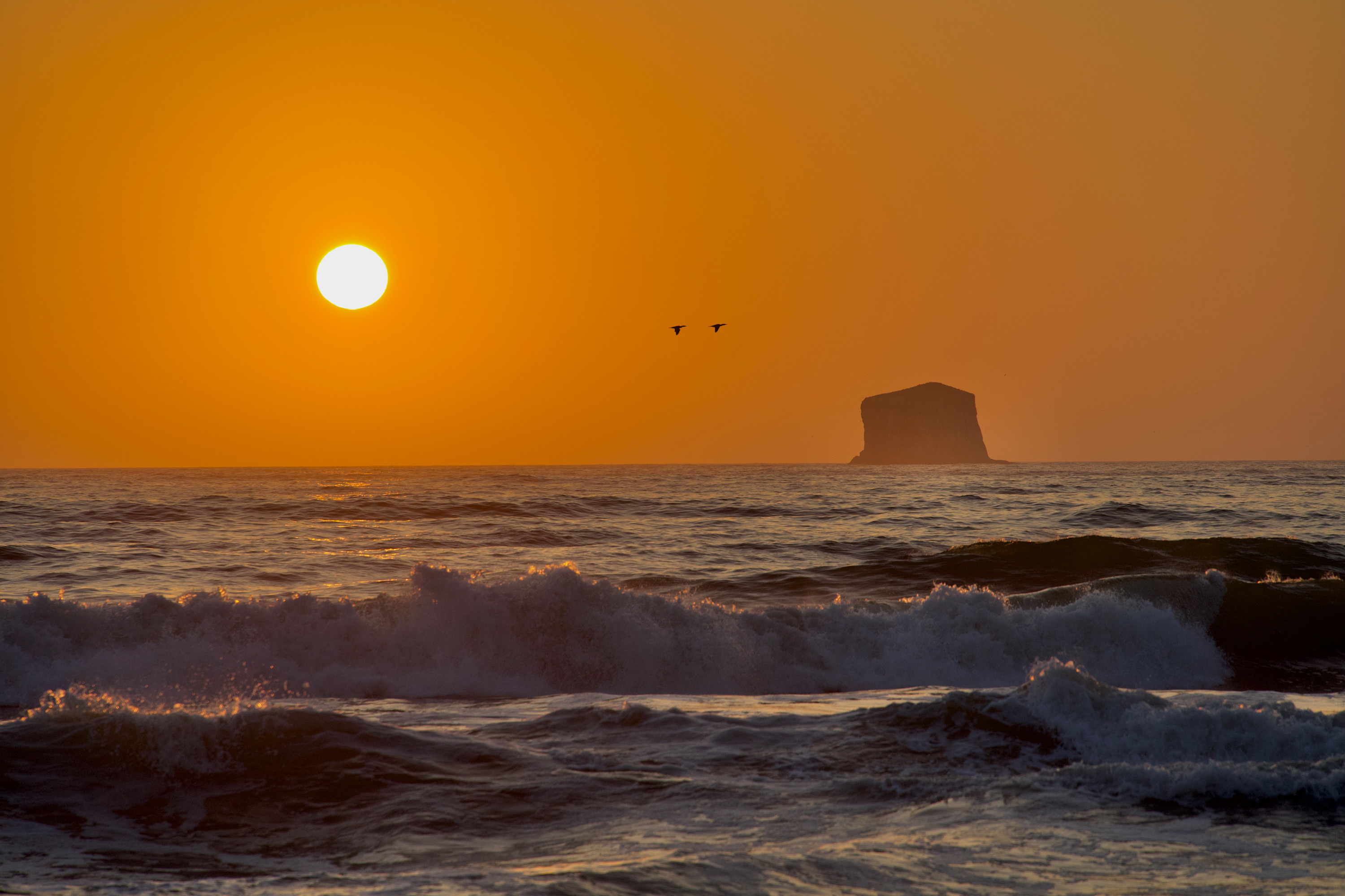 
        <div class='title'>
          PNW Sunset
        </div>
       
        <div class='description'>
          
        </div>
      