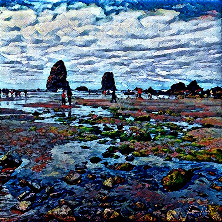 
        <div class='title'>
          Cannon Beach Wandering SMALL
        </div>
       