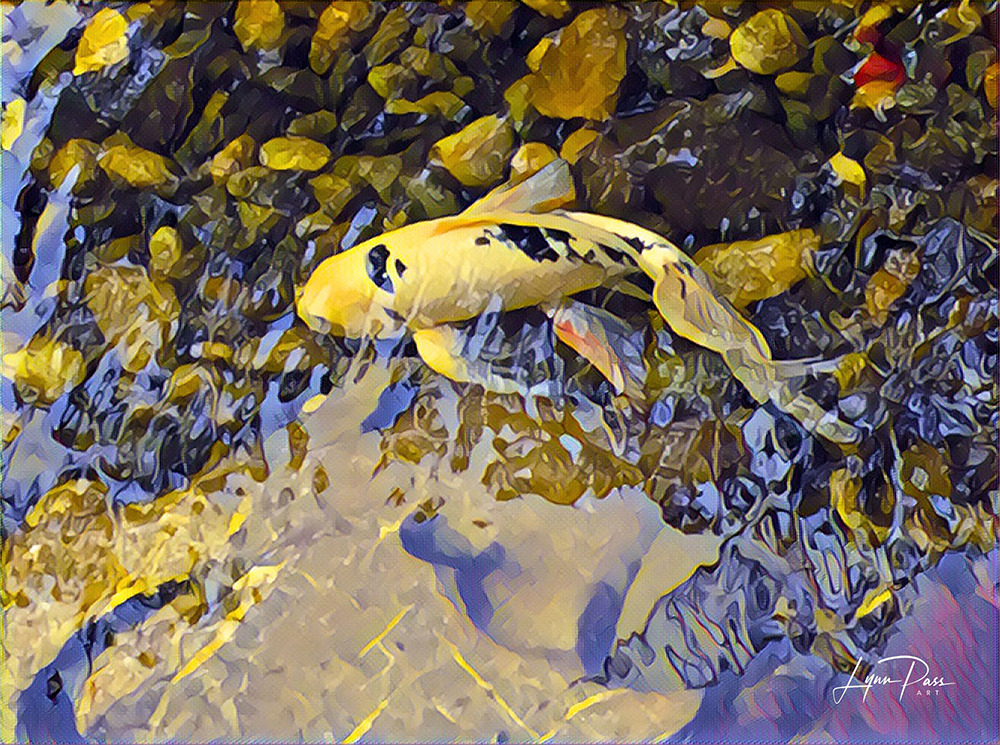 
        <div class='title'>
          Koi Violet SMALL
        </div>
       