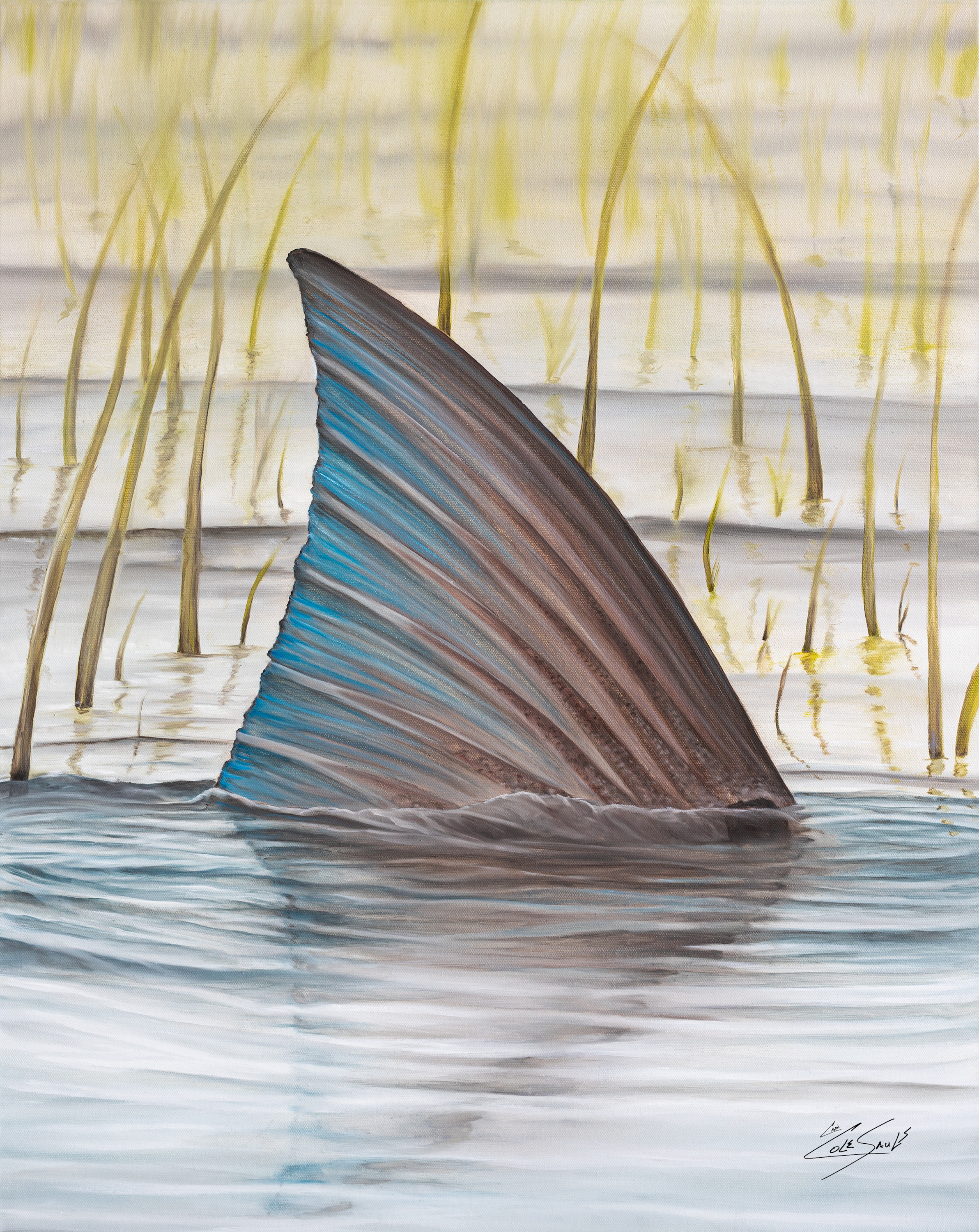 Flood tide focus w sig small for website only pvvaqh