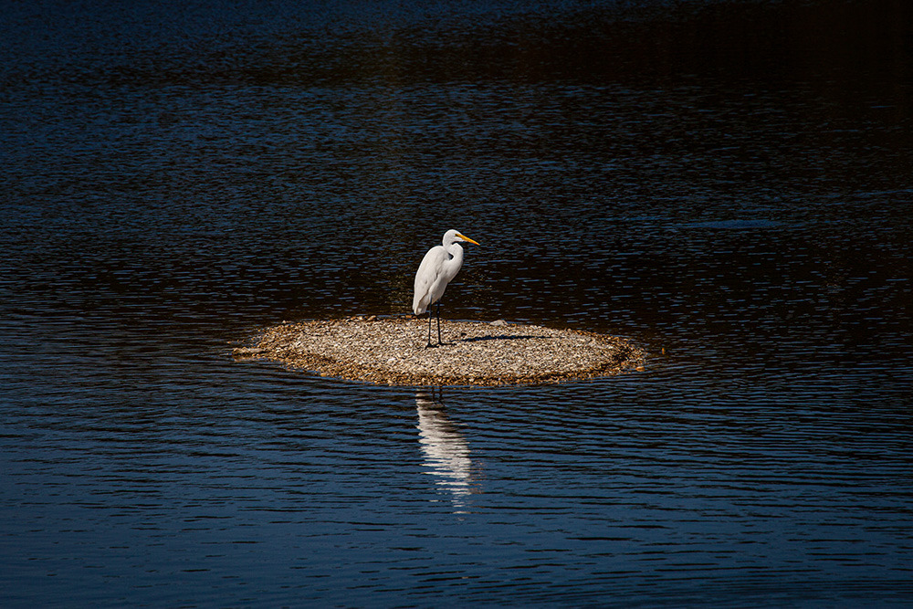 Standing alone   small eesaap