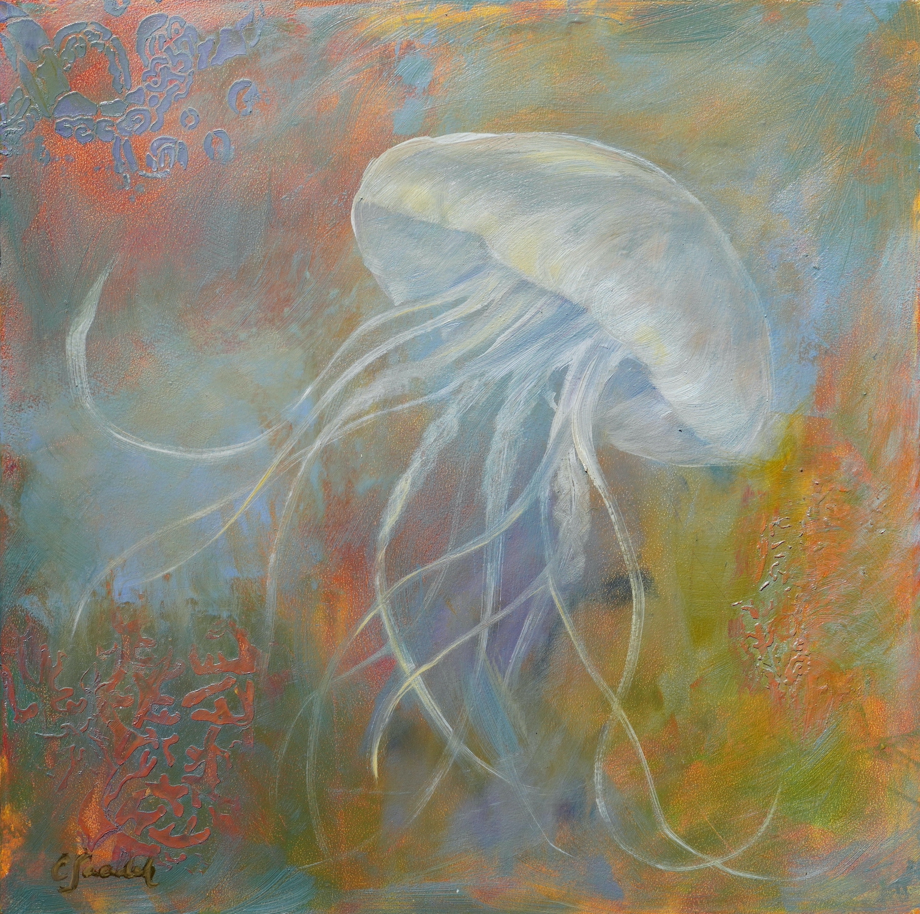 Jellyfish r3qoh4