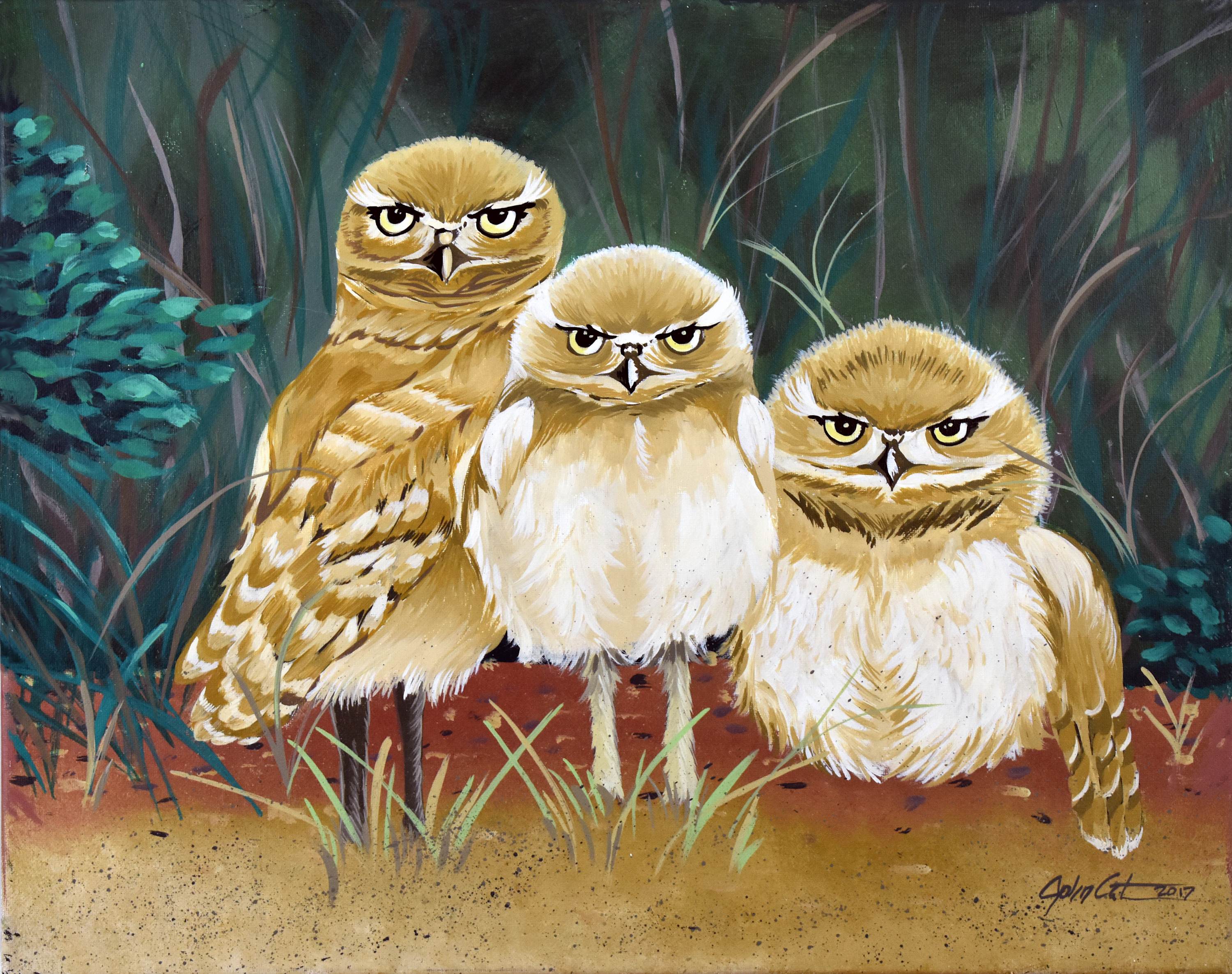 Owls nest yio8lt