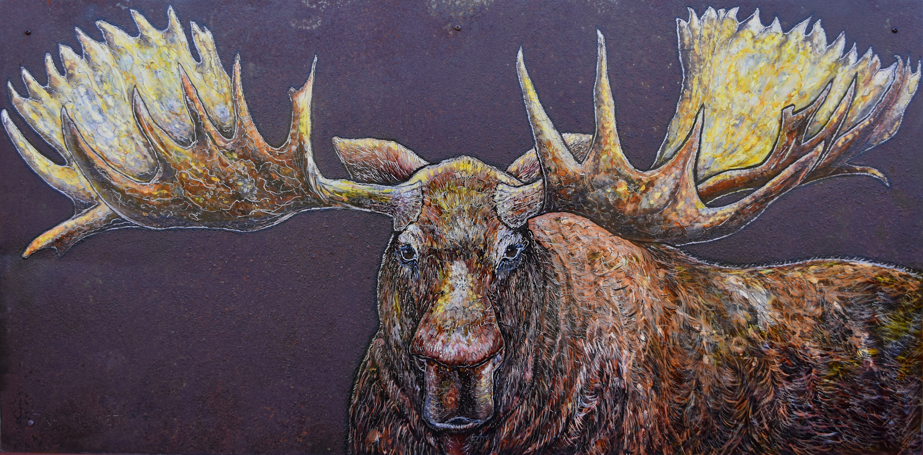 Twig eater moosu 24x48 1500 jxpctg