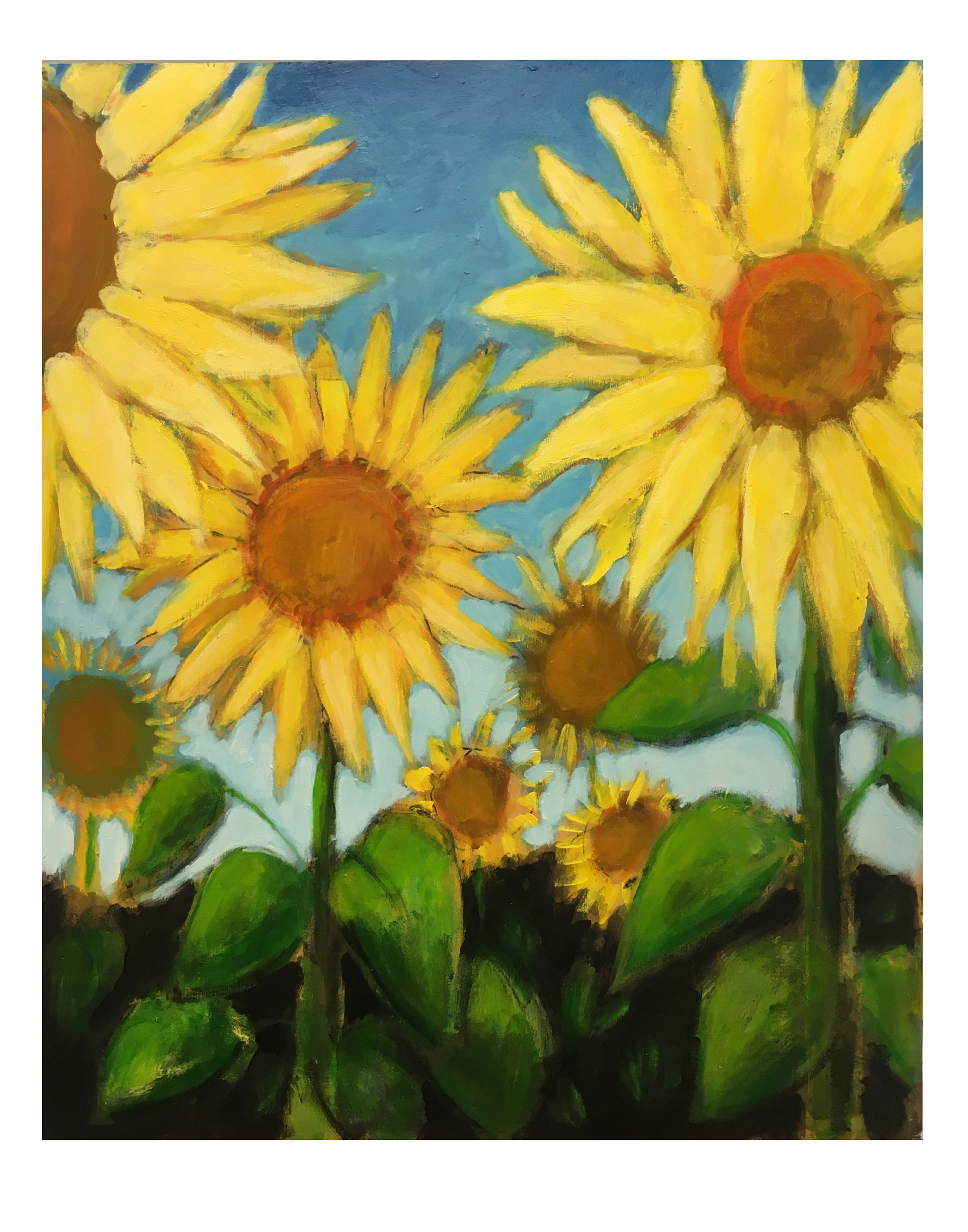 Sunflower 20 limited edition 11 x 14 rwpuss
