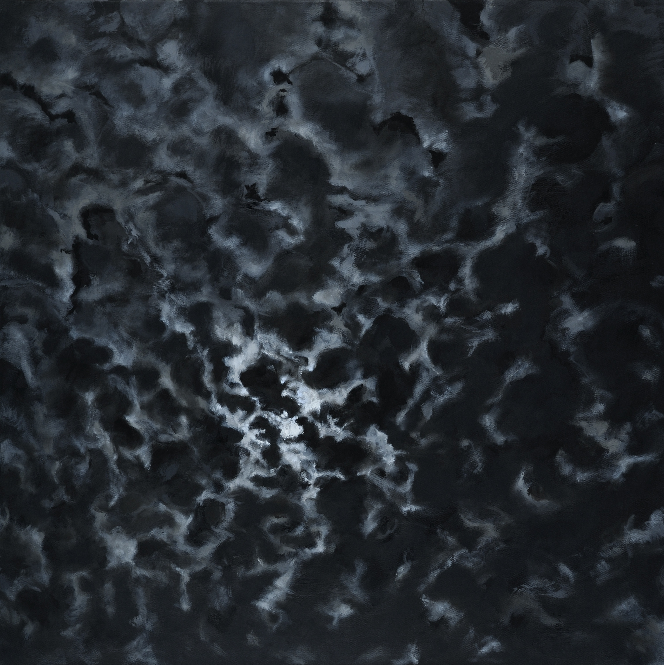 Midnight floccus sky lfwts4