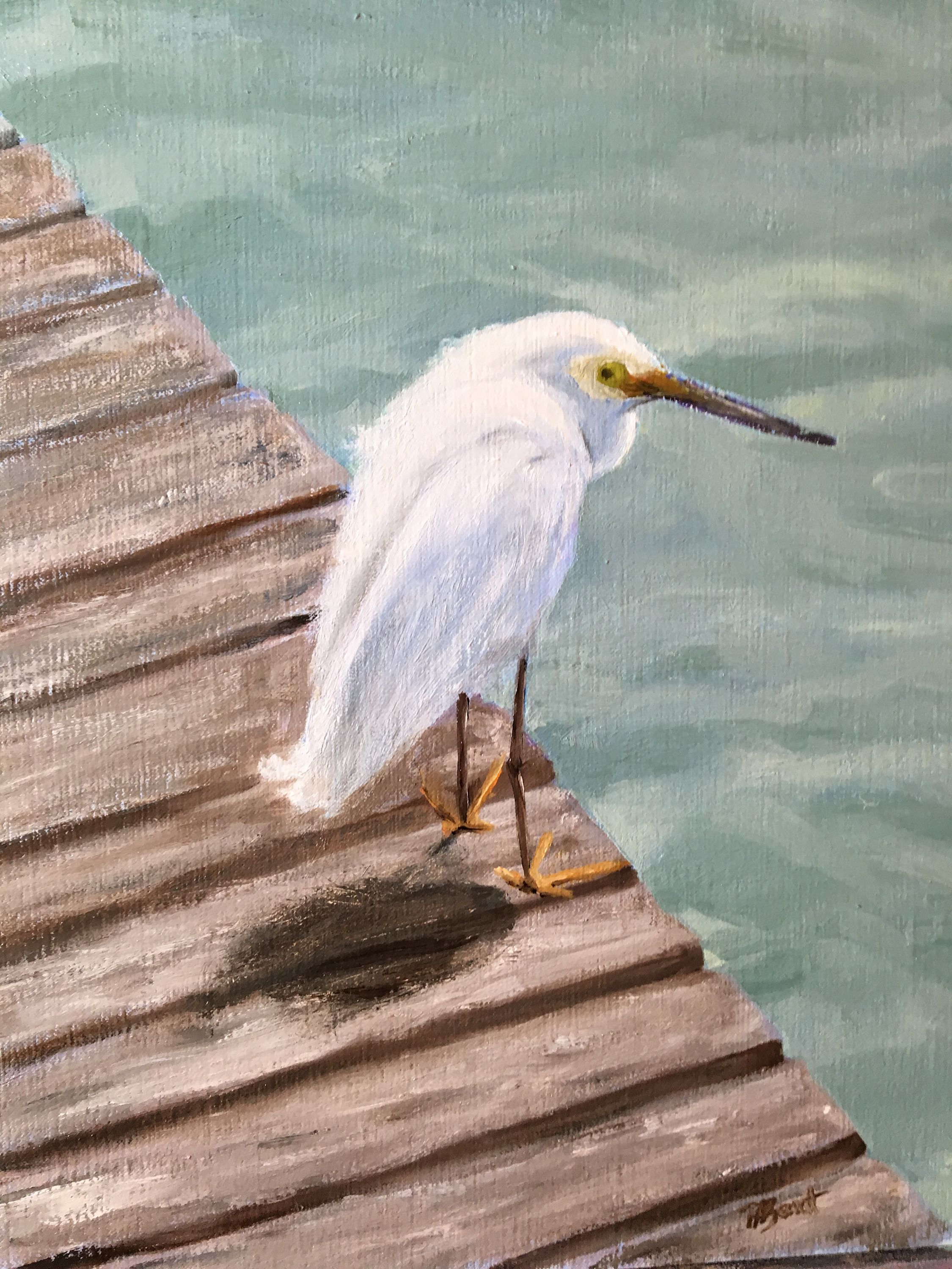 Snowy egret xx0lsb