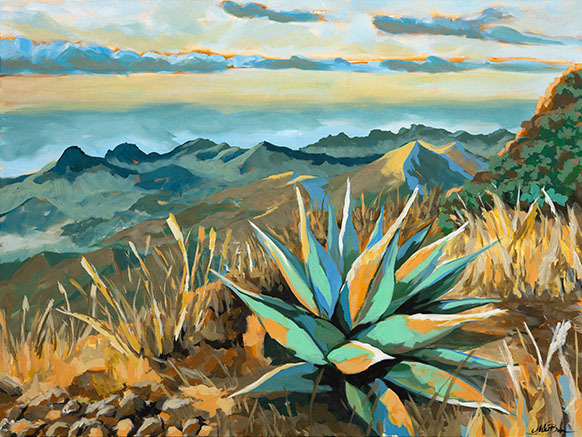 Agave small 0.1x gu1qzq