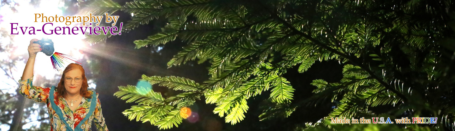 
        <div class='title'>
          Eva s Photography Leterhead art vgturf
        </div>
       