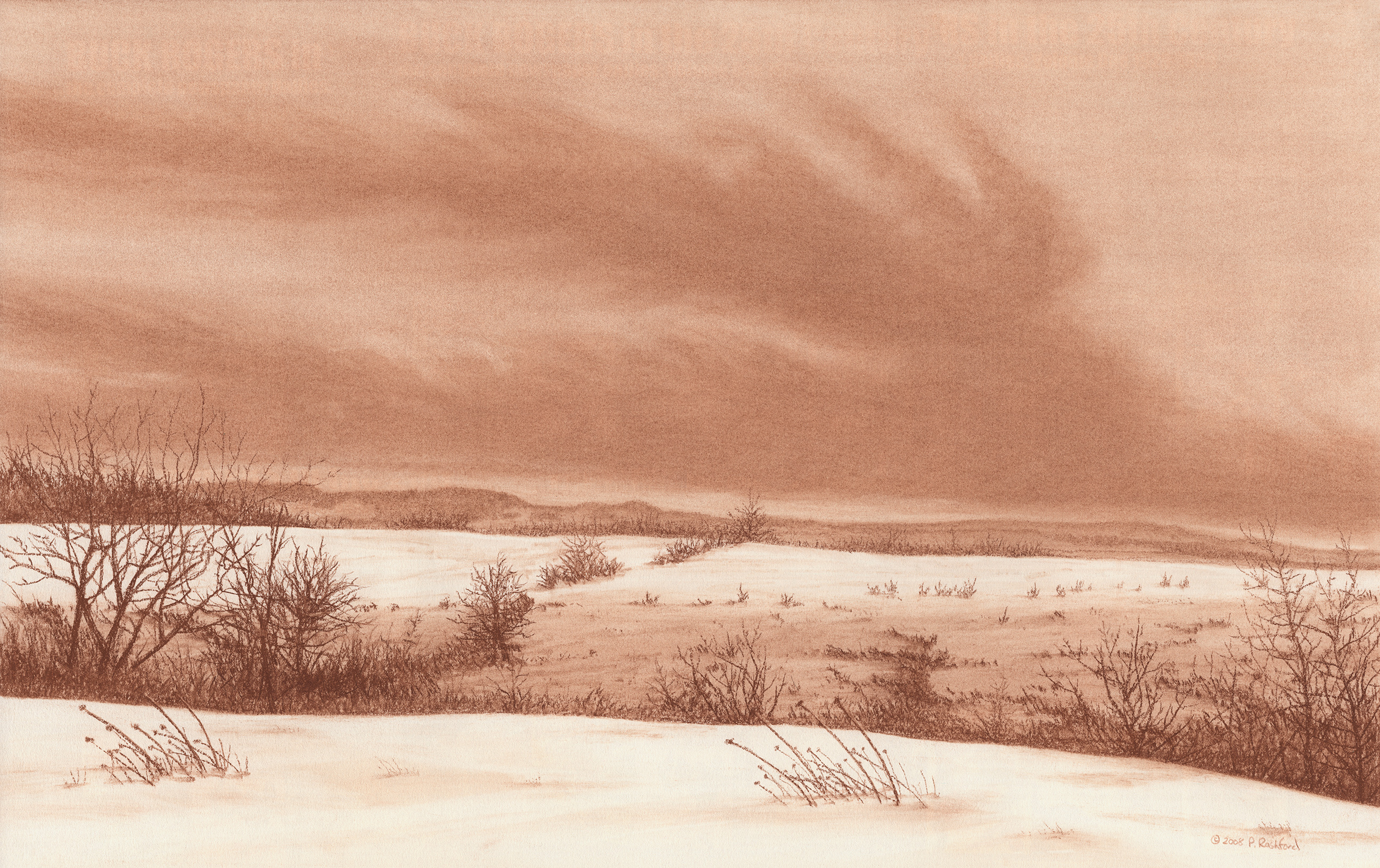 Wintry meadow orig v3xiyt