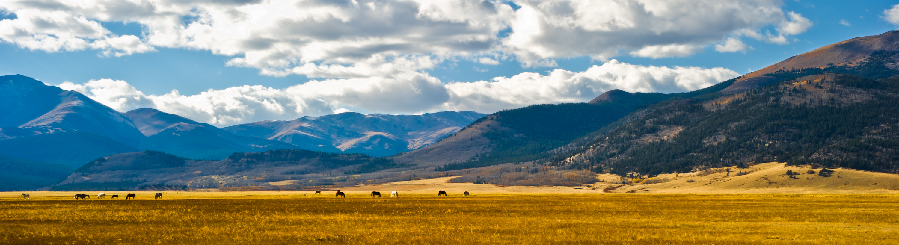
        <div class='title'>
          013LANDSCAPE COLORADO2
        </div>
       