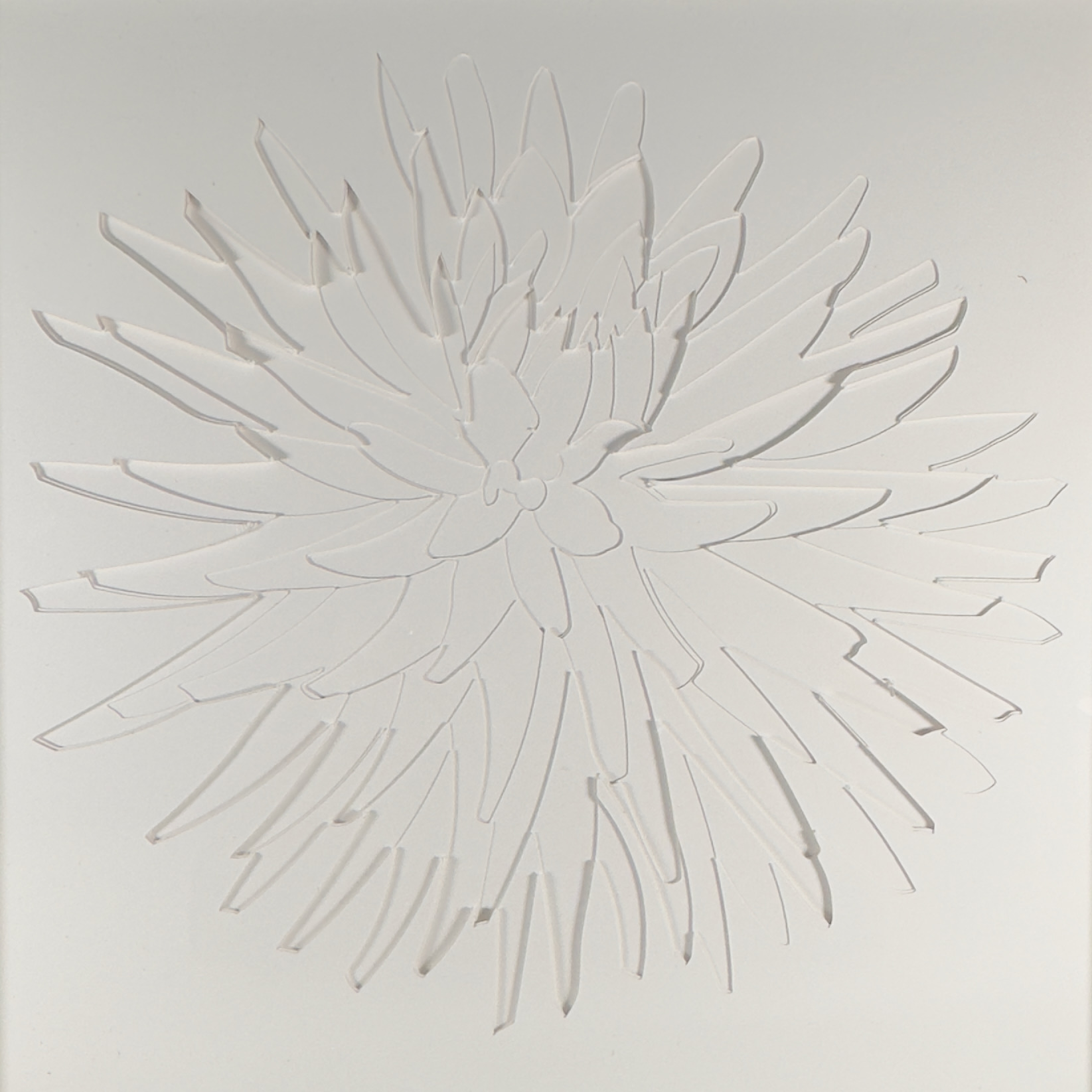Dahlia 3 white xeughh