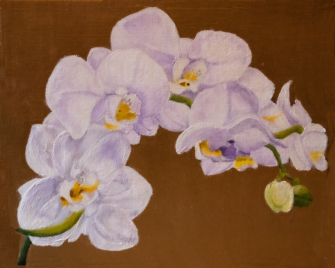 White. orchids kc1afv