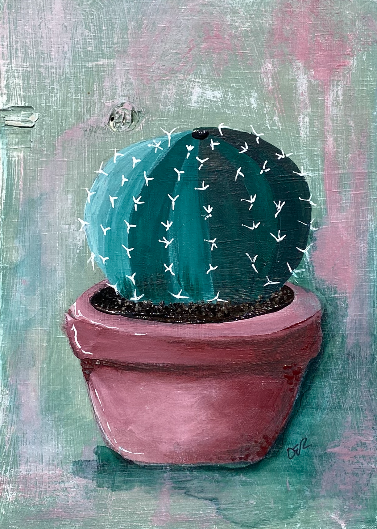 Cactus in a pink pot ixairl