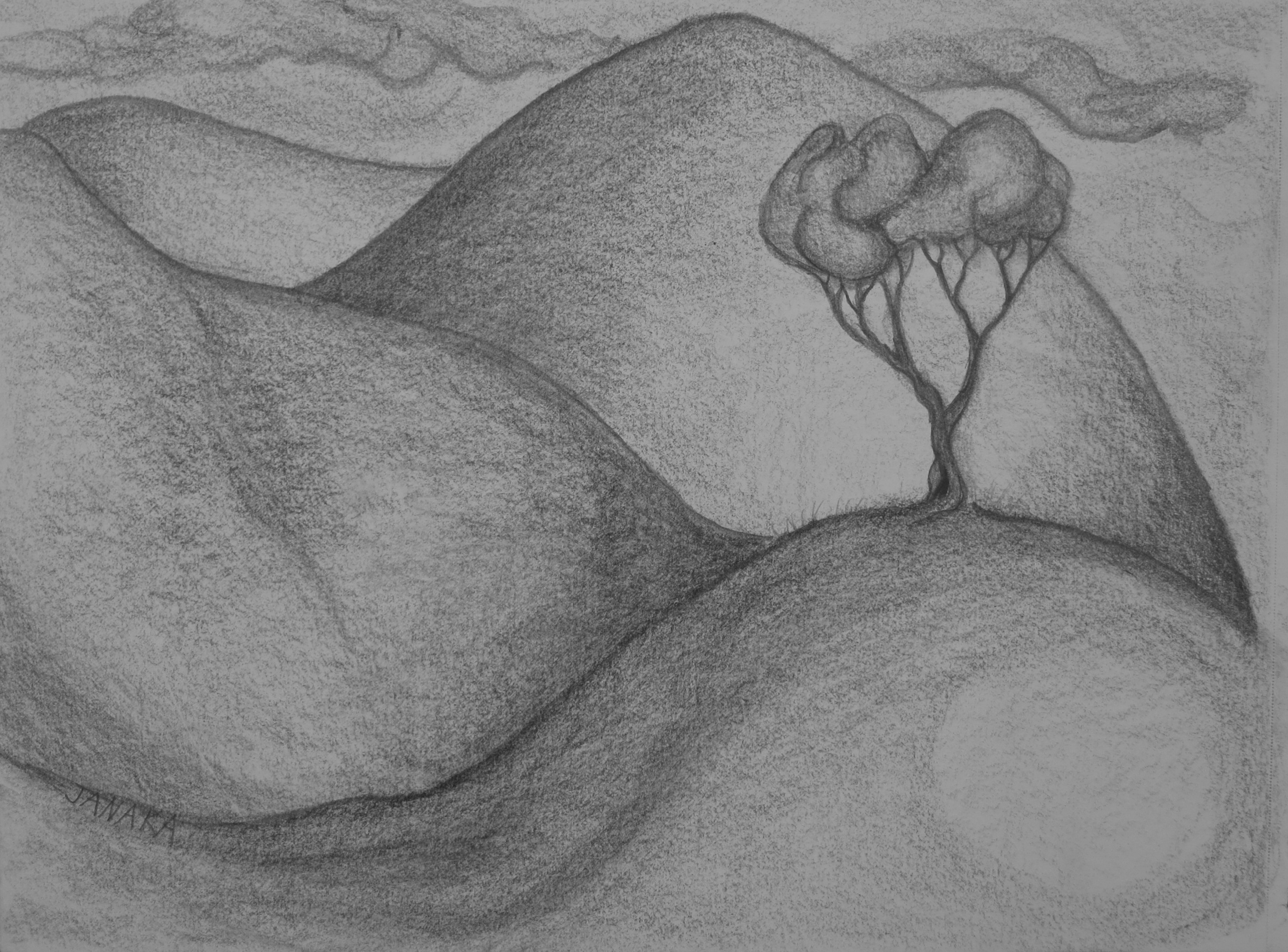 Amongthehillsatreegrows12x9 2021 zxlugv