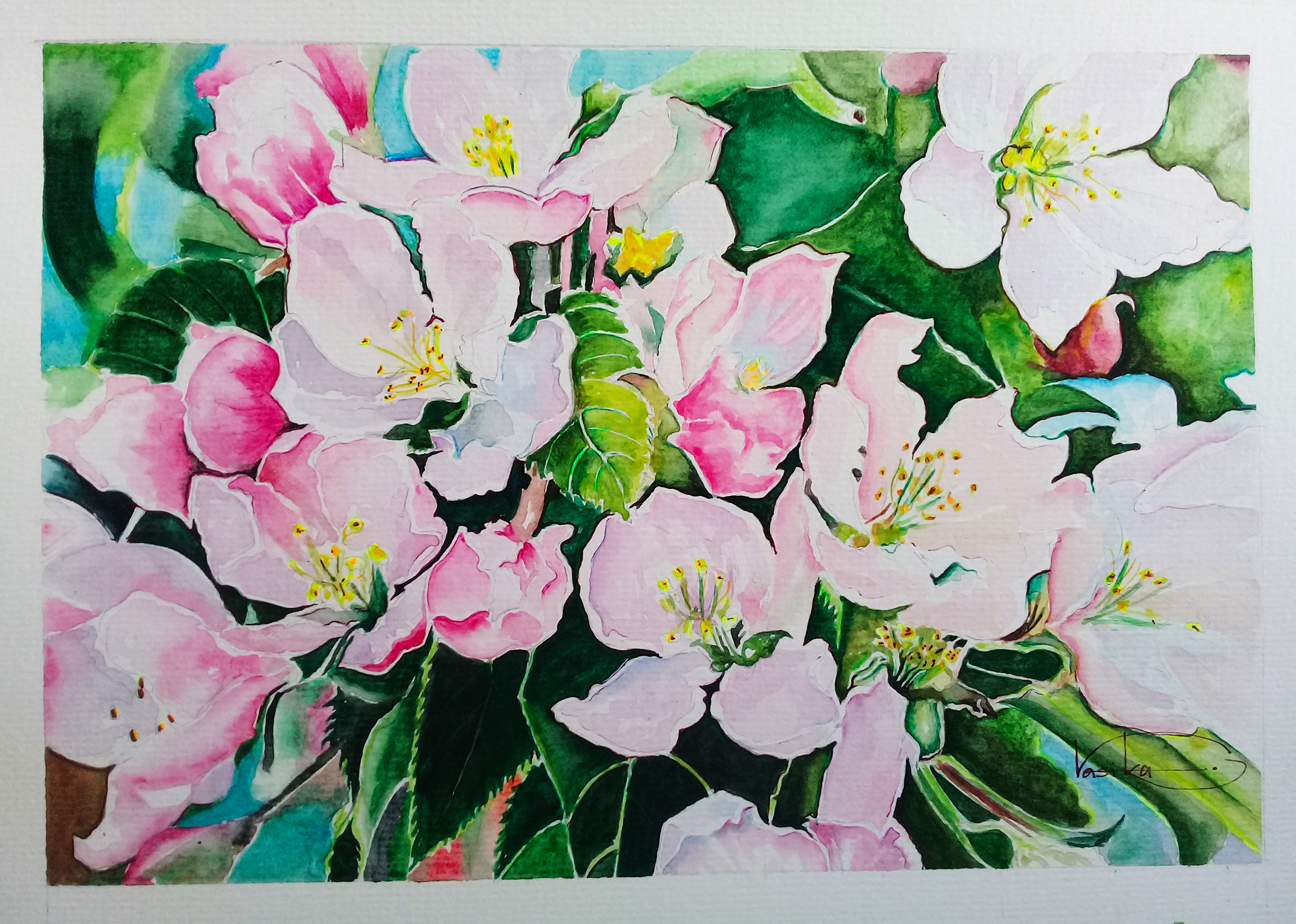 Apple blossoms rr 0311 p 3.7mb ho7uws