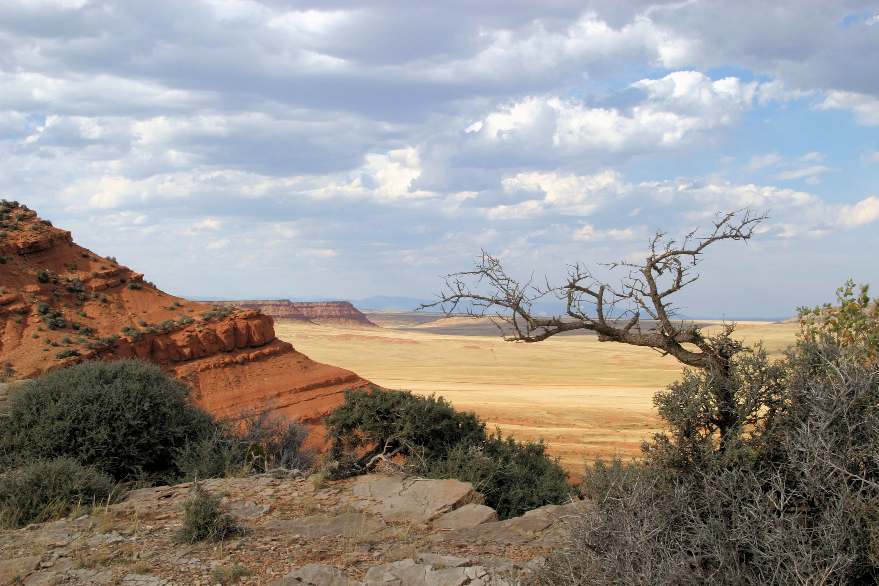 
        <div class='title'>
          Powder River Bluffs giy68i
        </div>
       
        <div class='description'>
          
        </div>
      