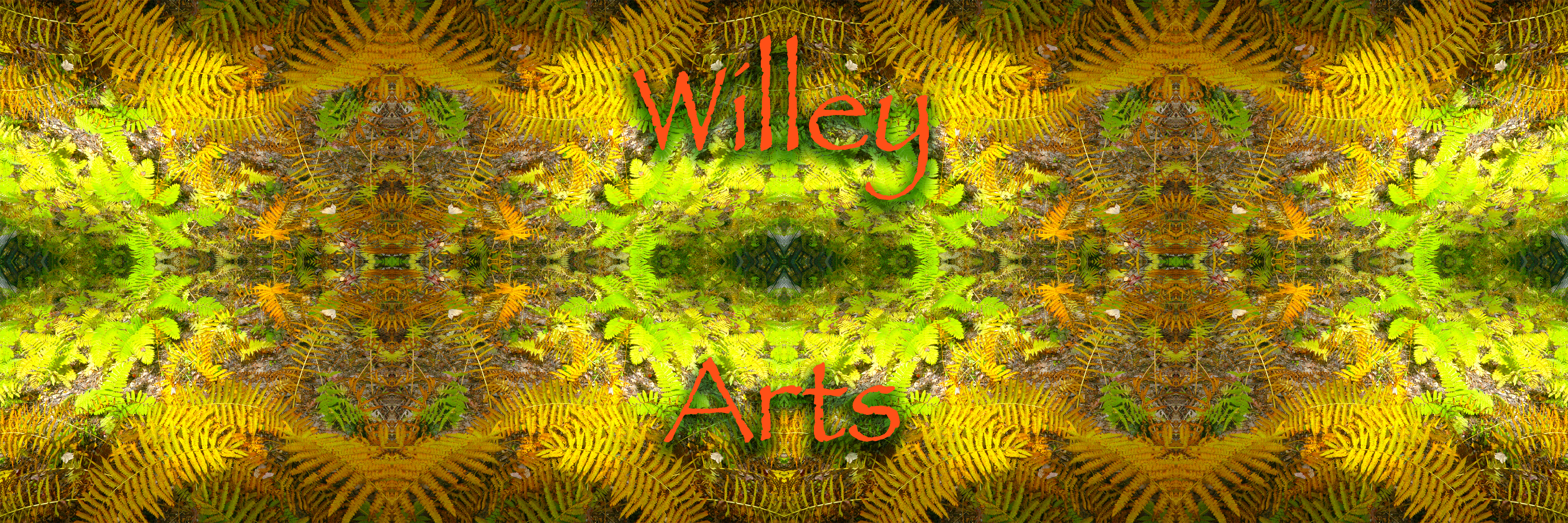 WIlley Arts