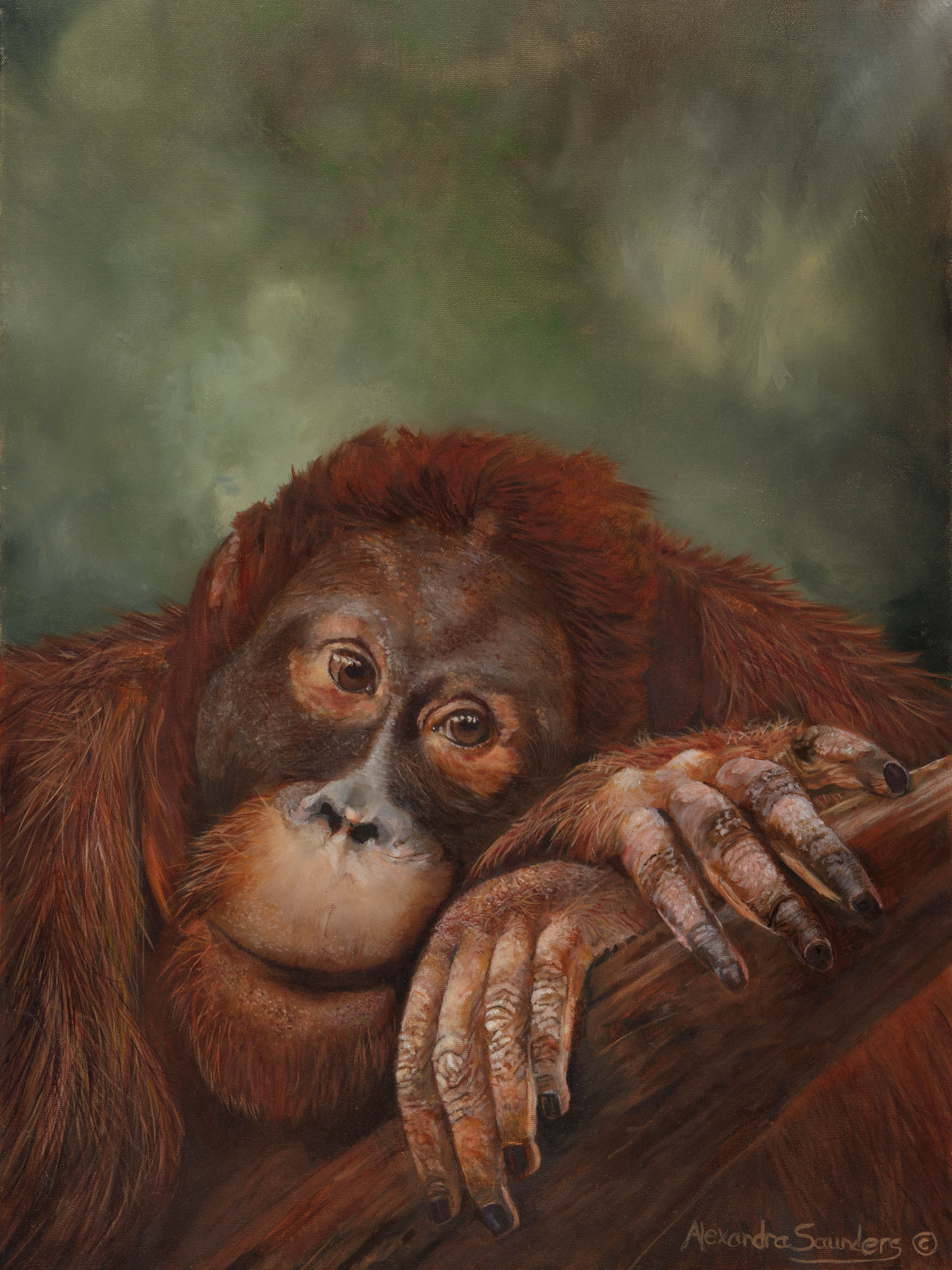 Orangutan changi ezszte