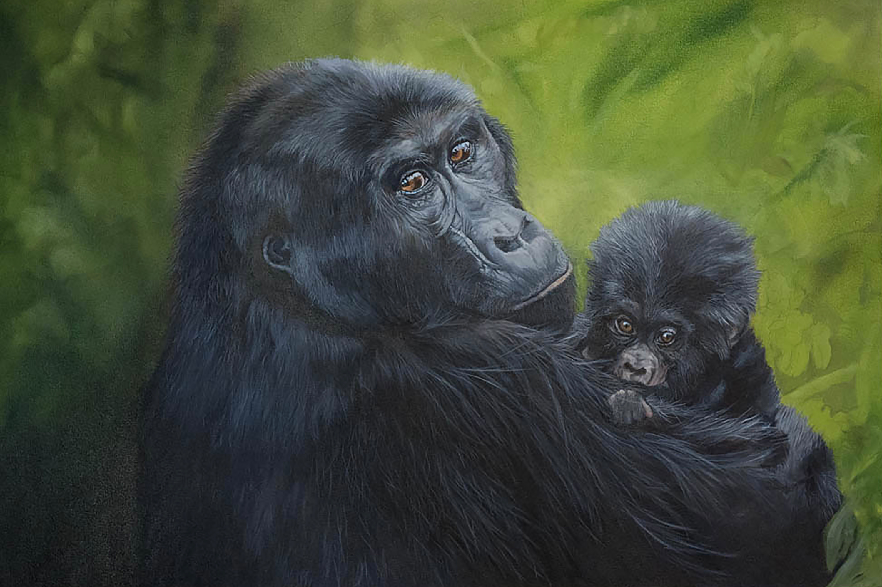 Mountain gorillas mama and baby dxlmfz