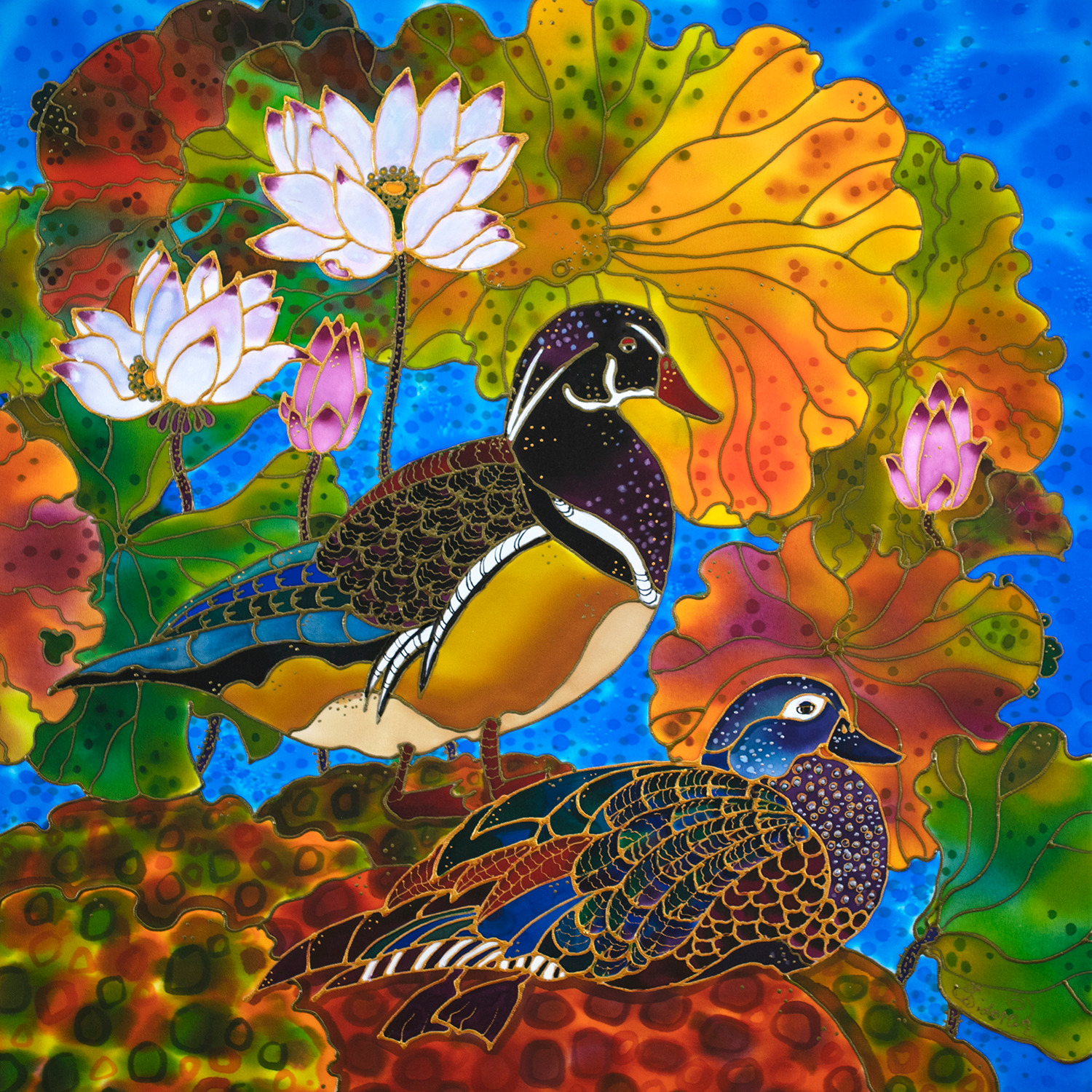 Colorful ducks hulnwi