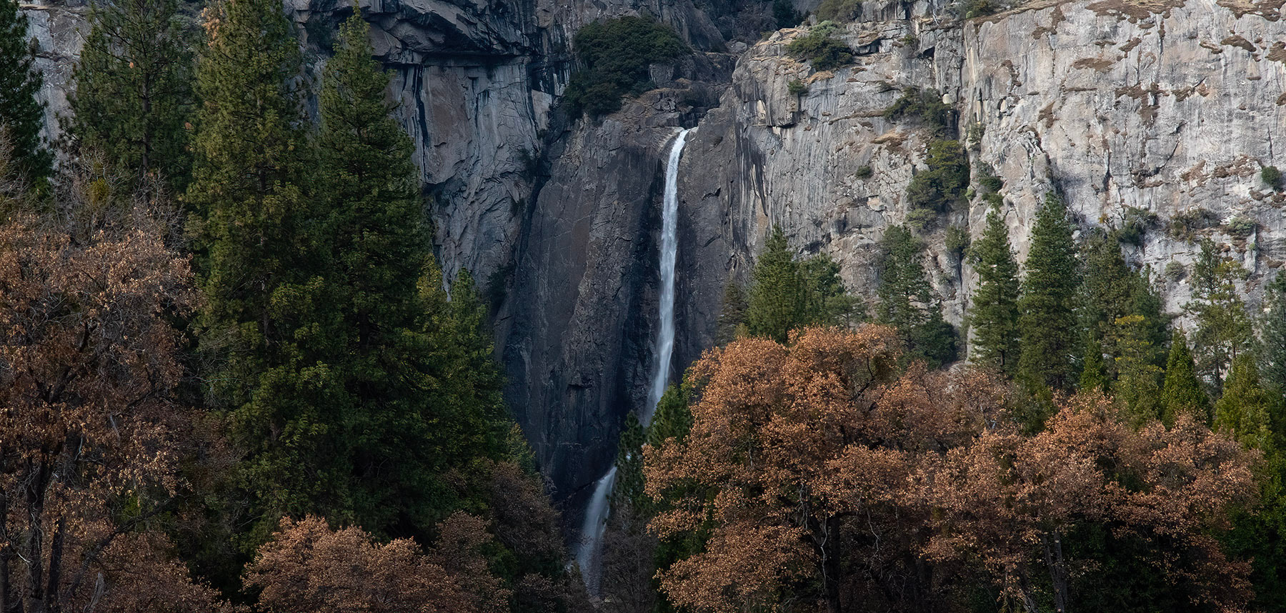 
        <div class='title'>
          Bridalveil Fall banner
        </div>
       