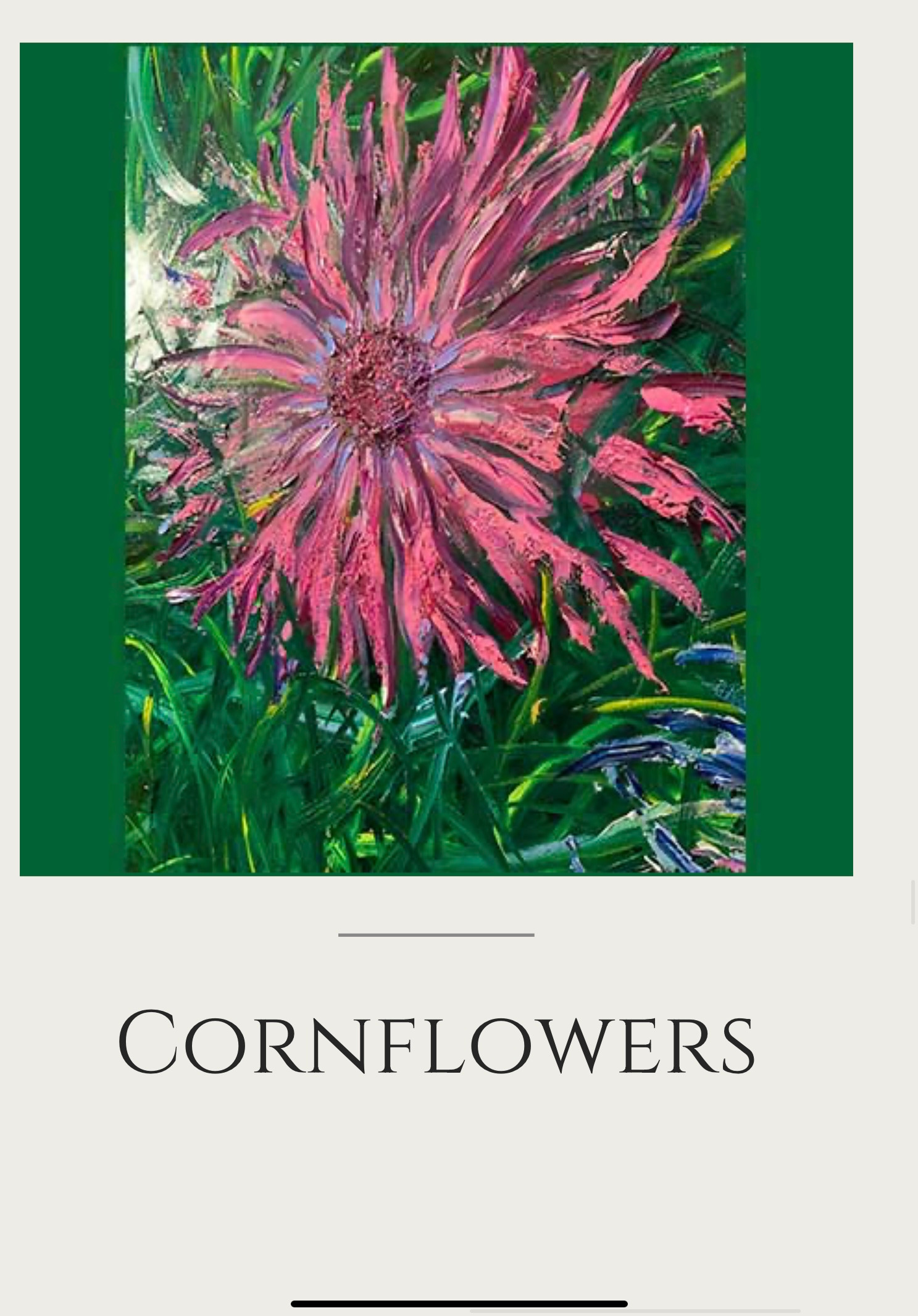 Corn flowers aa 8256 800 zi04ng