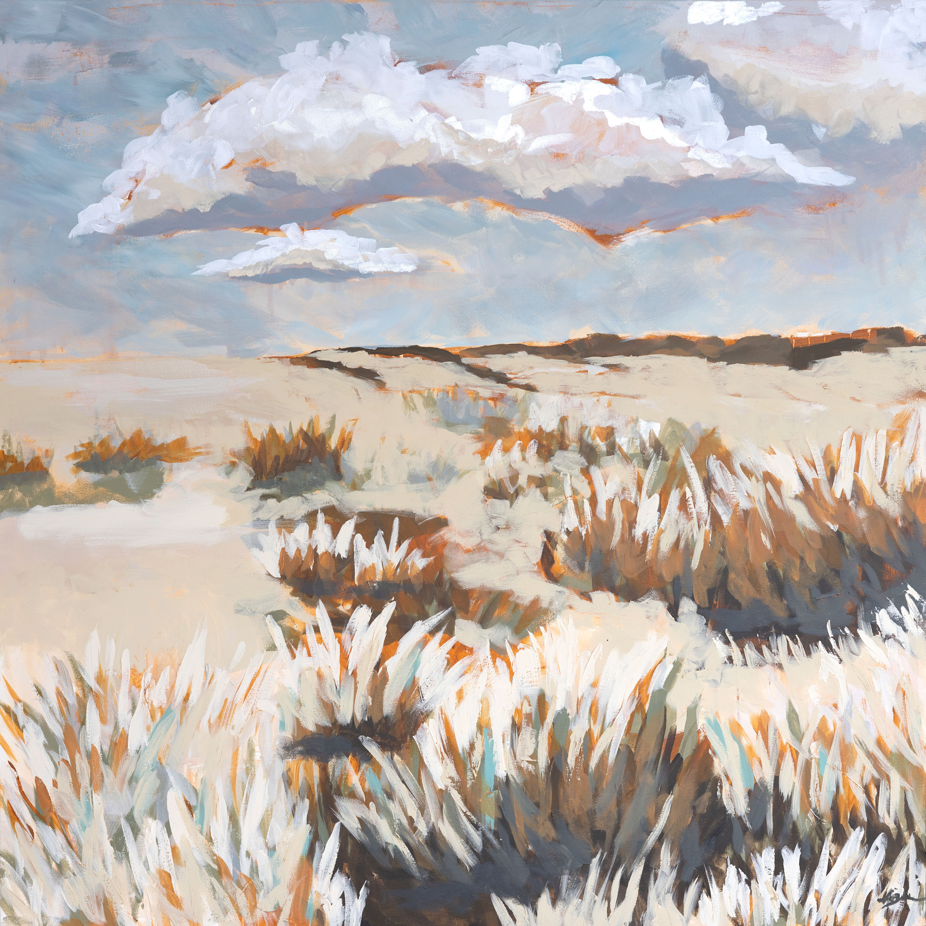 Open prairie oqcrzk