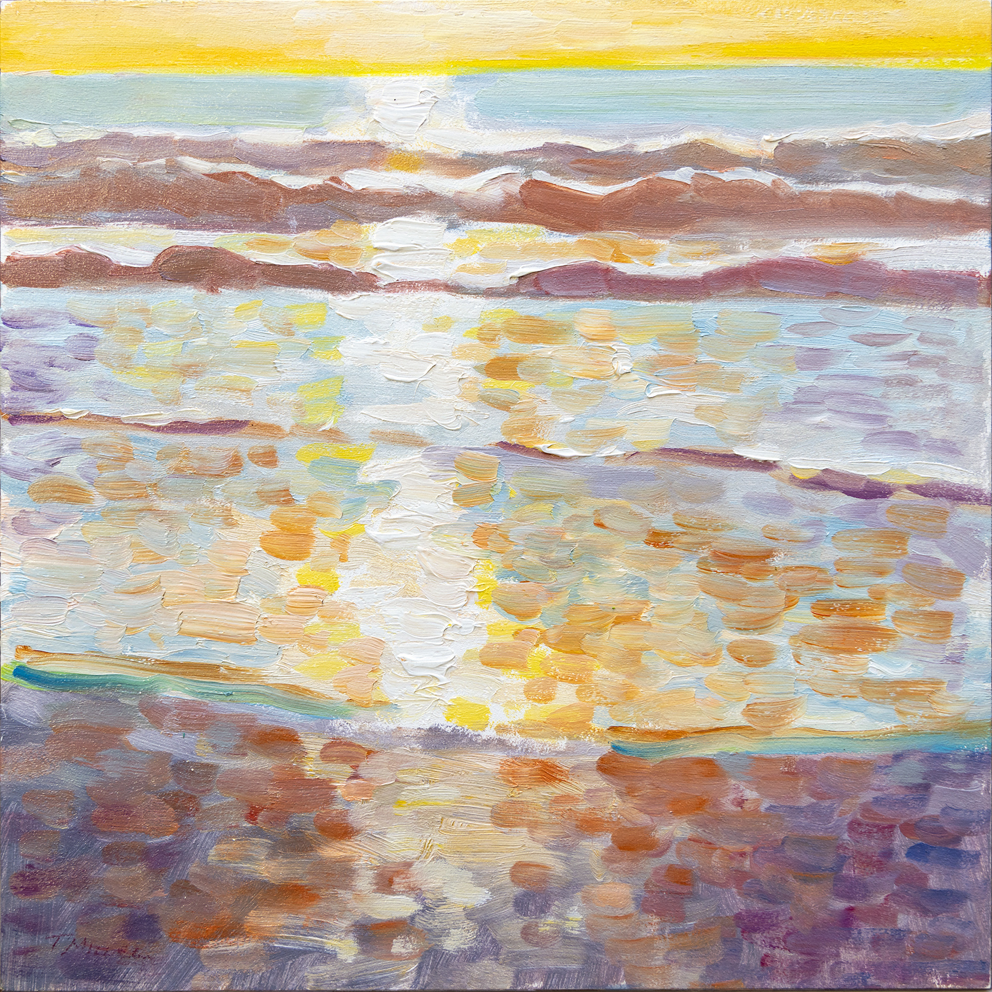 Encinitas coastal evening 8x8 oxw9di