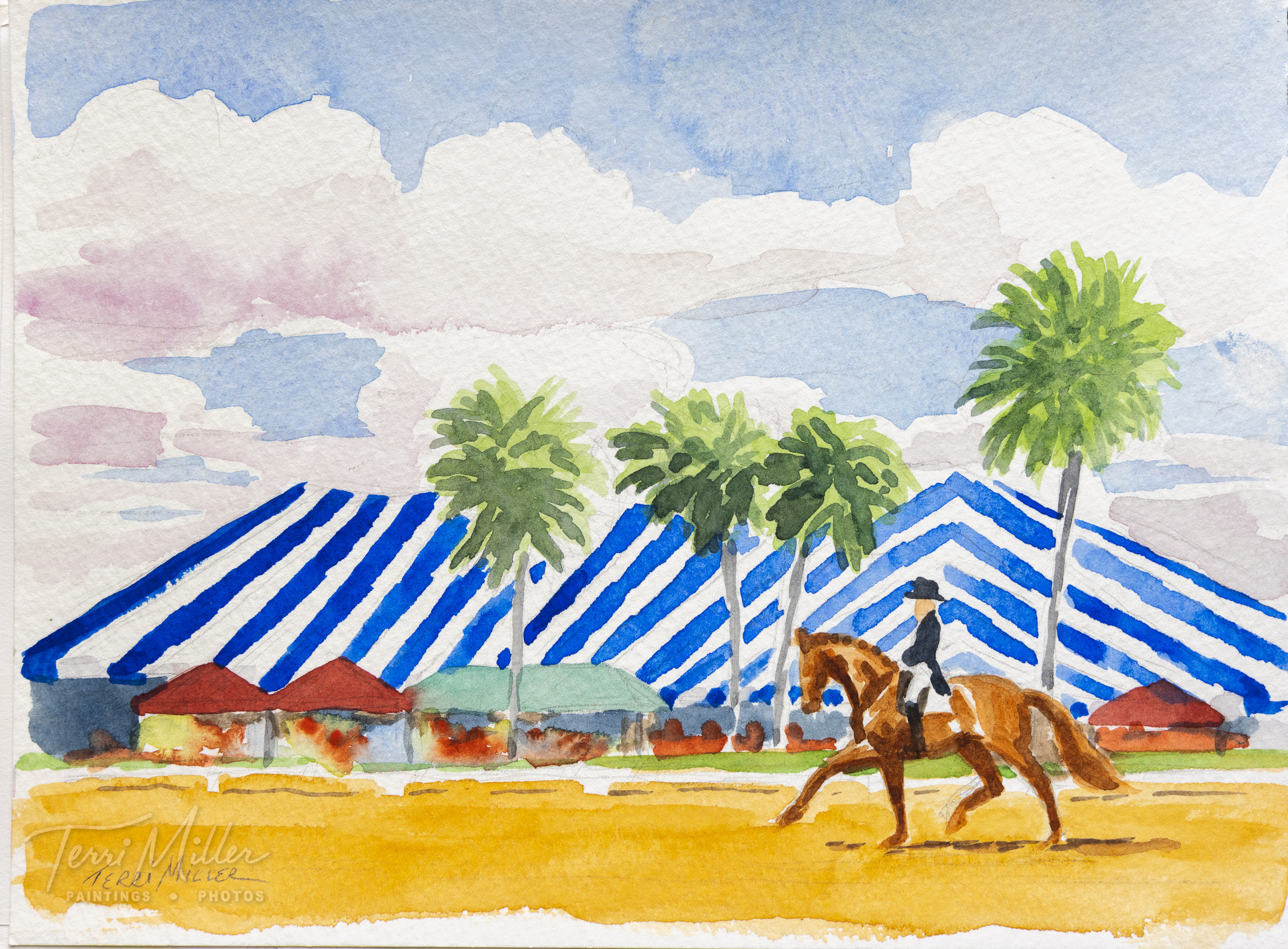Big striped tent rcwkxi