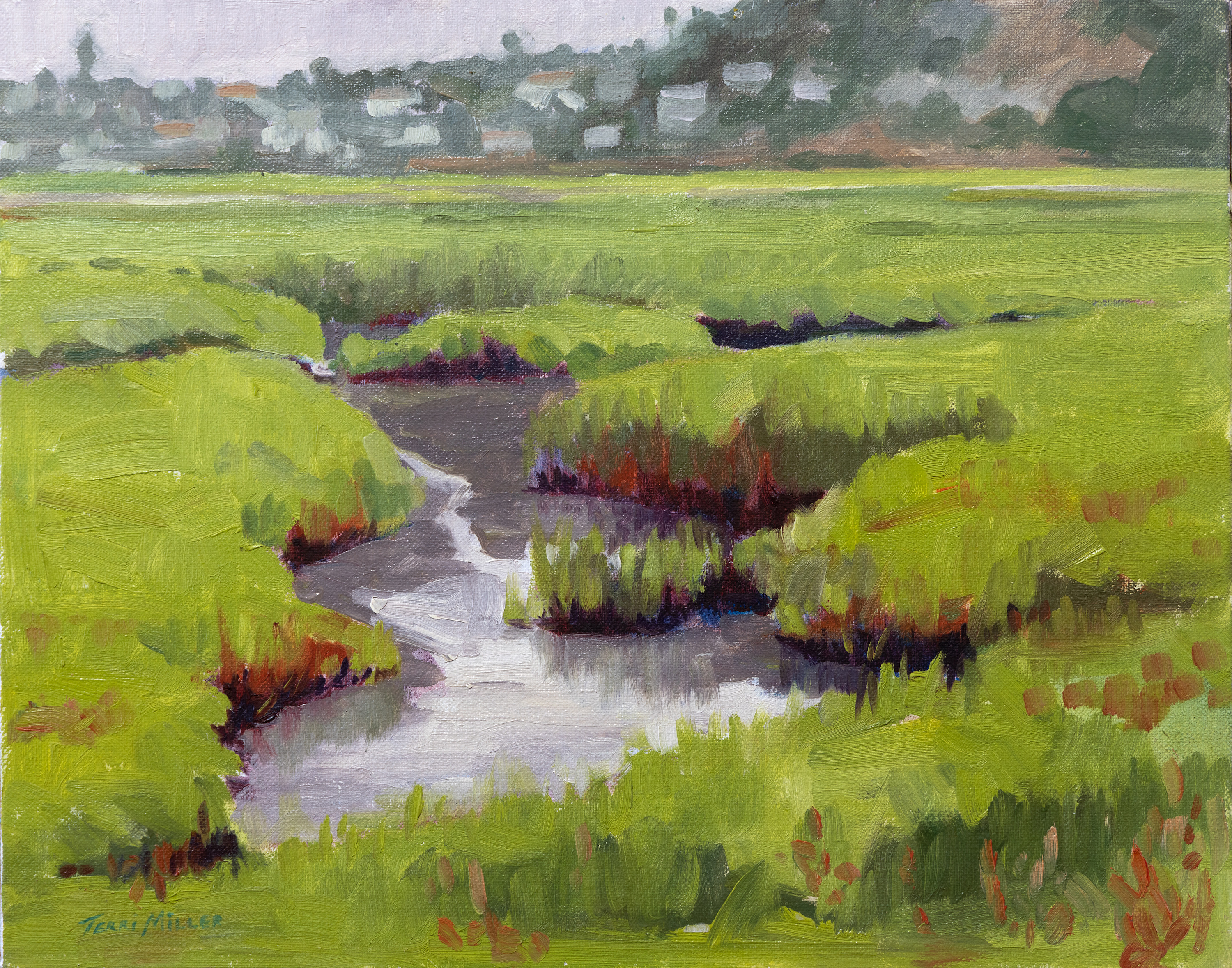 Marshes and mansions 11x14 gb rnxexx