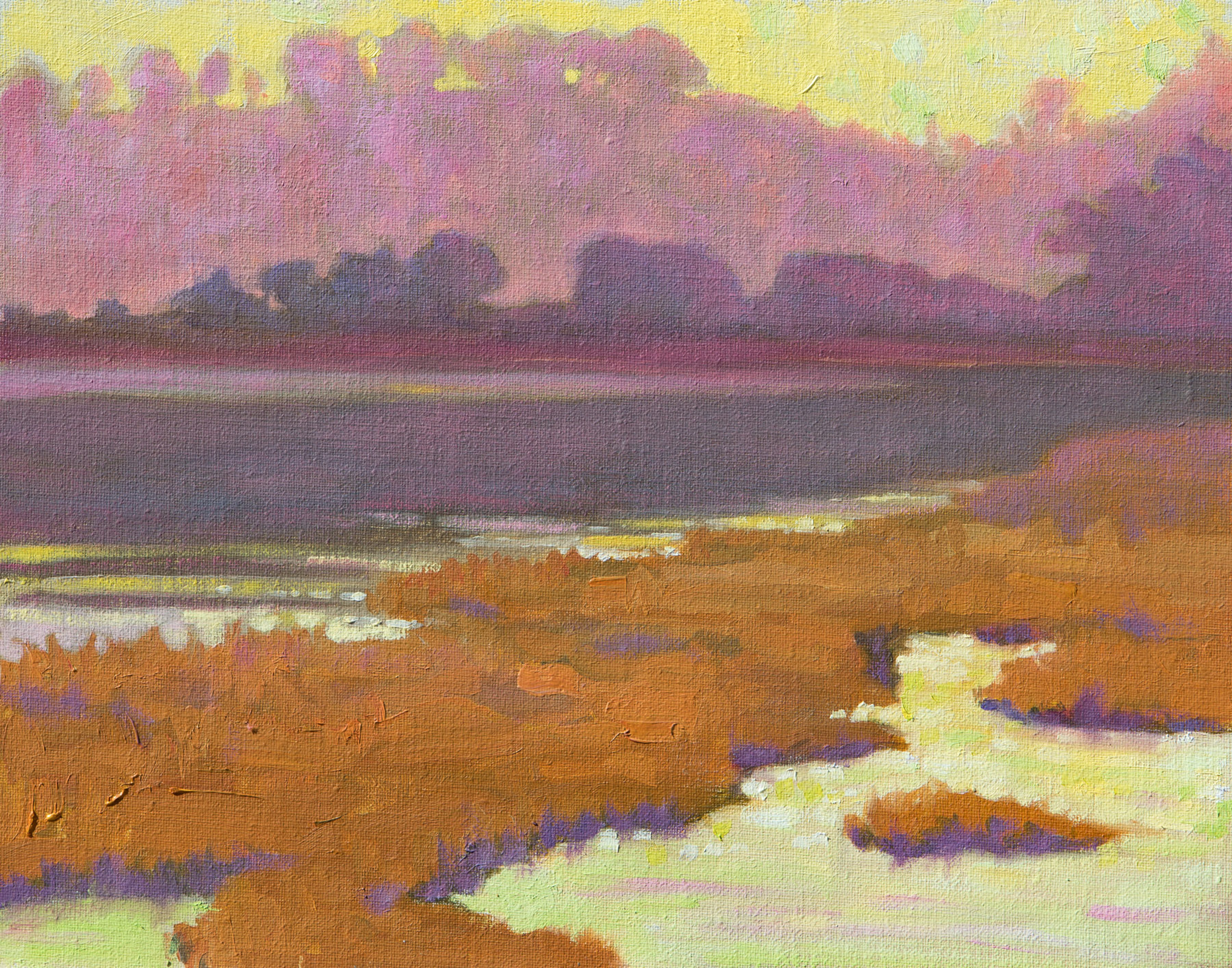 Pink lagoon 11x14 hkoipf