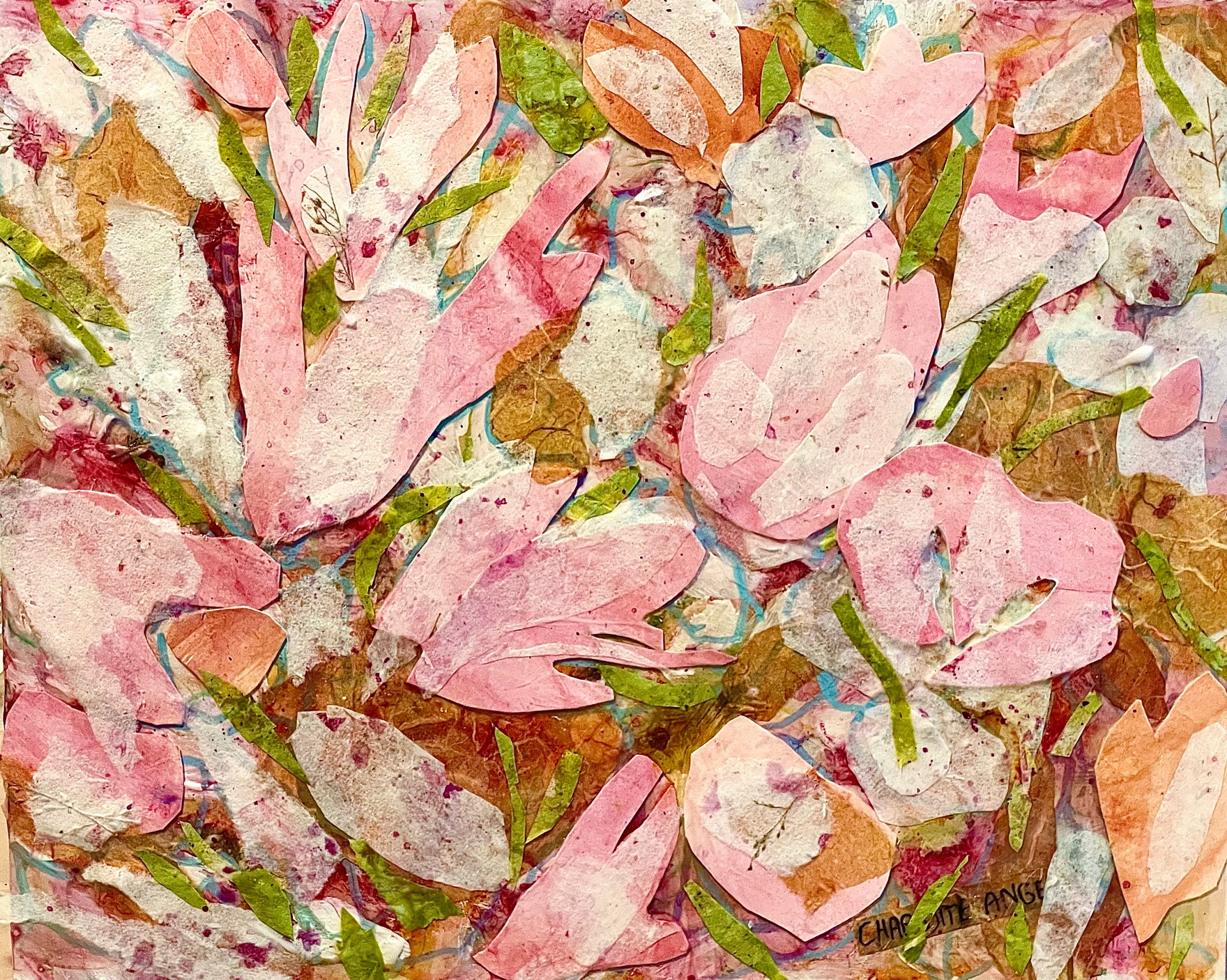 Abs 230330 pink profusion c angel dallas tx0krc